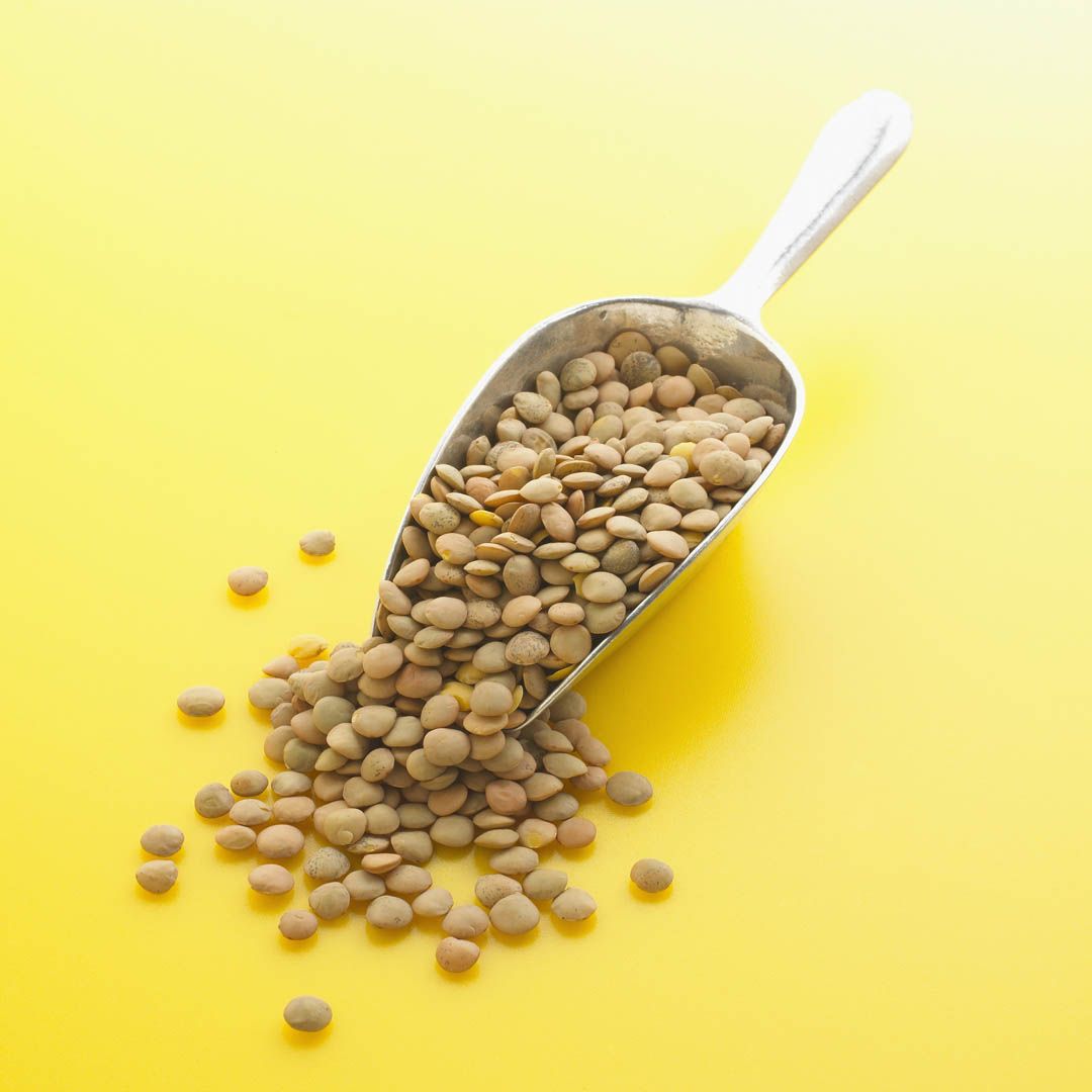 Scoop Of Lentils