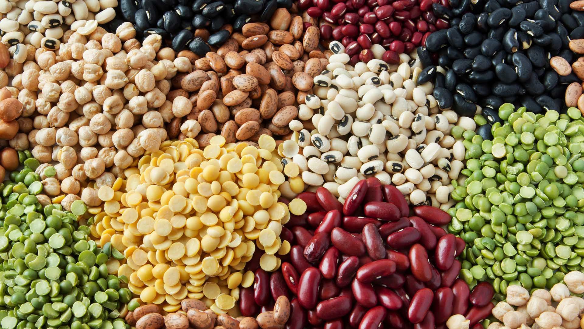 What Are Pulses? Everything You Need To Know About This Delicious Pantry Staple. Pulses recipes, Lentils, How to cook lentils