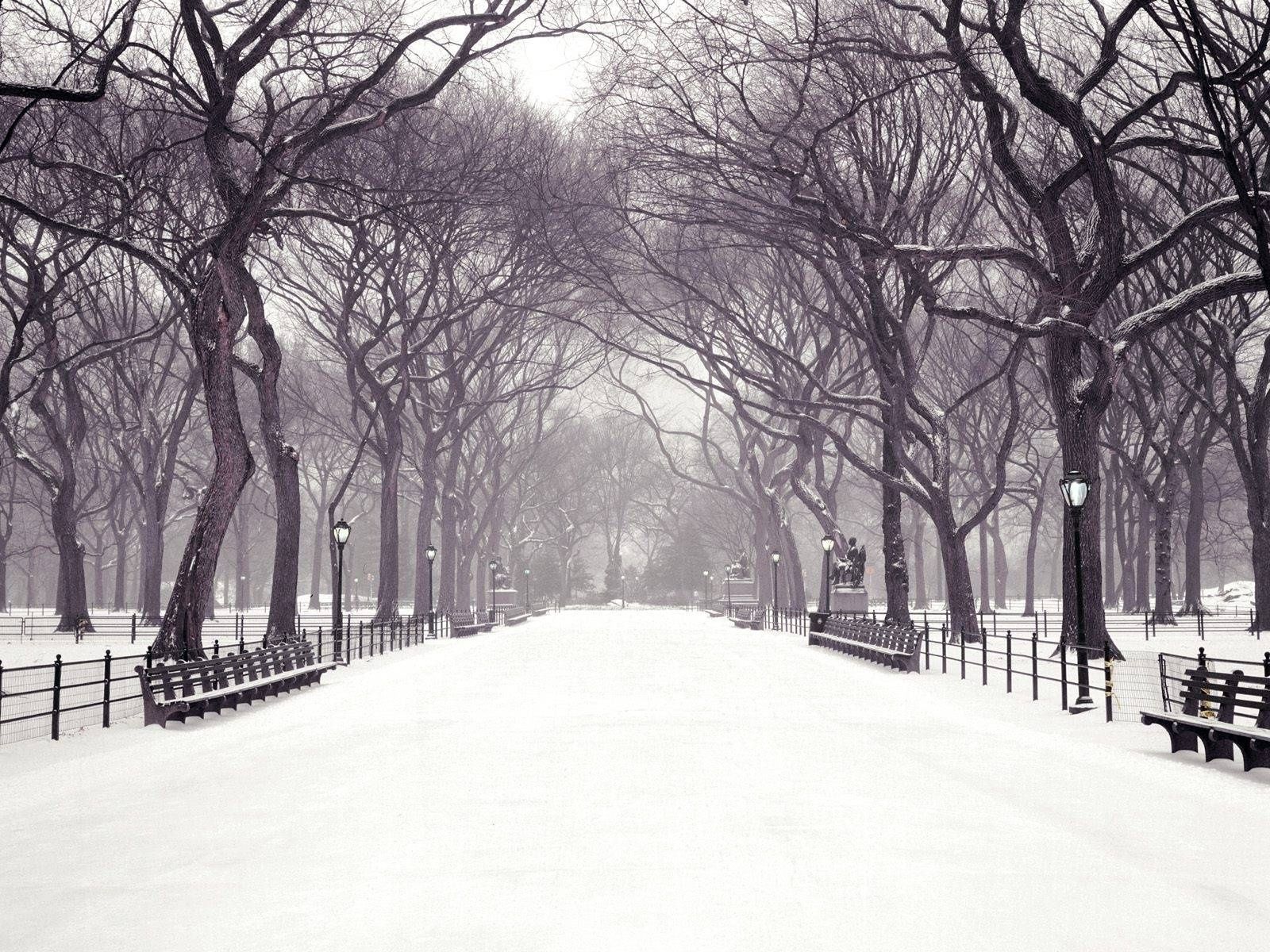 Winter in Central Park New York Wallpaper Free Winter in Central Park New York Background