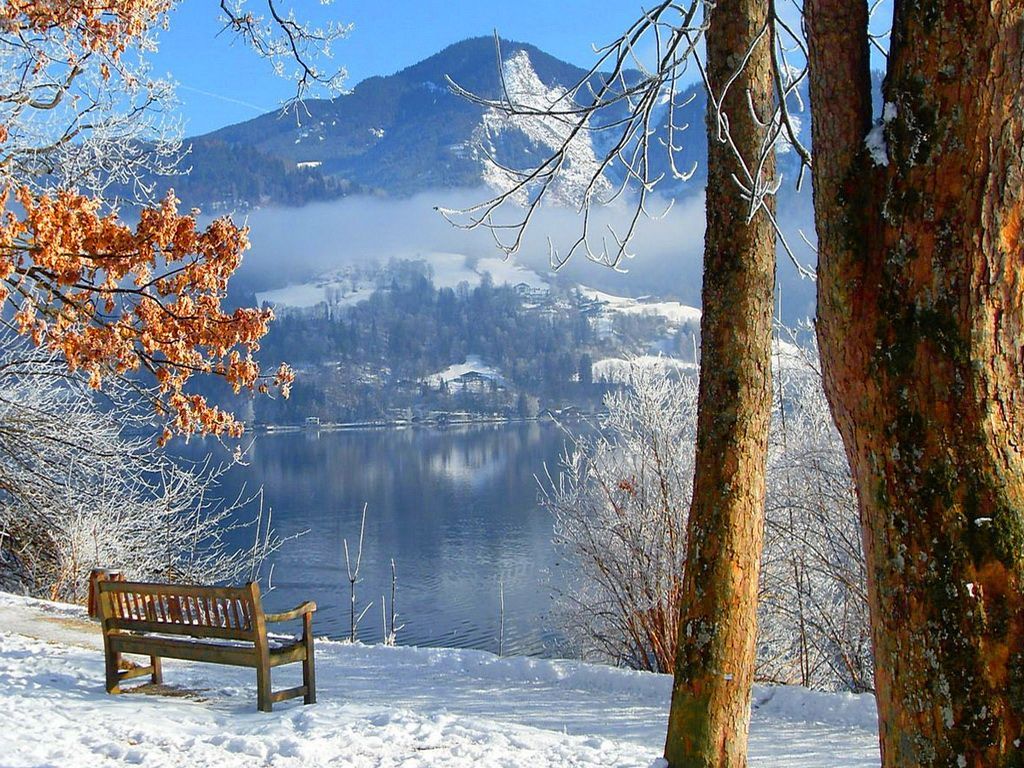 Winter Day Wallpaper