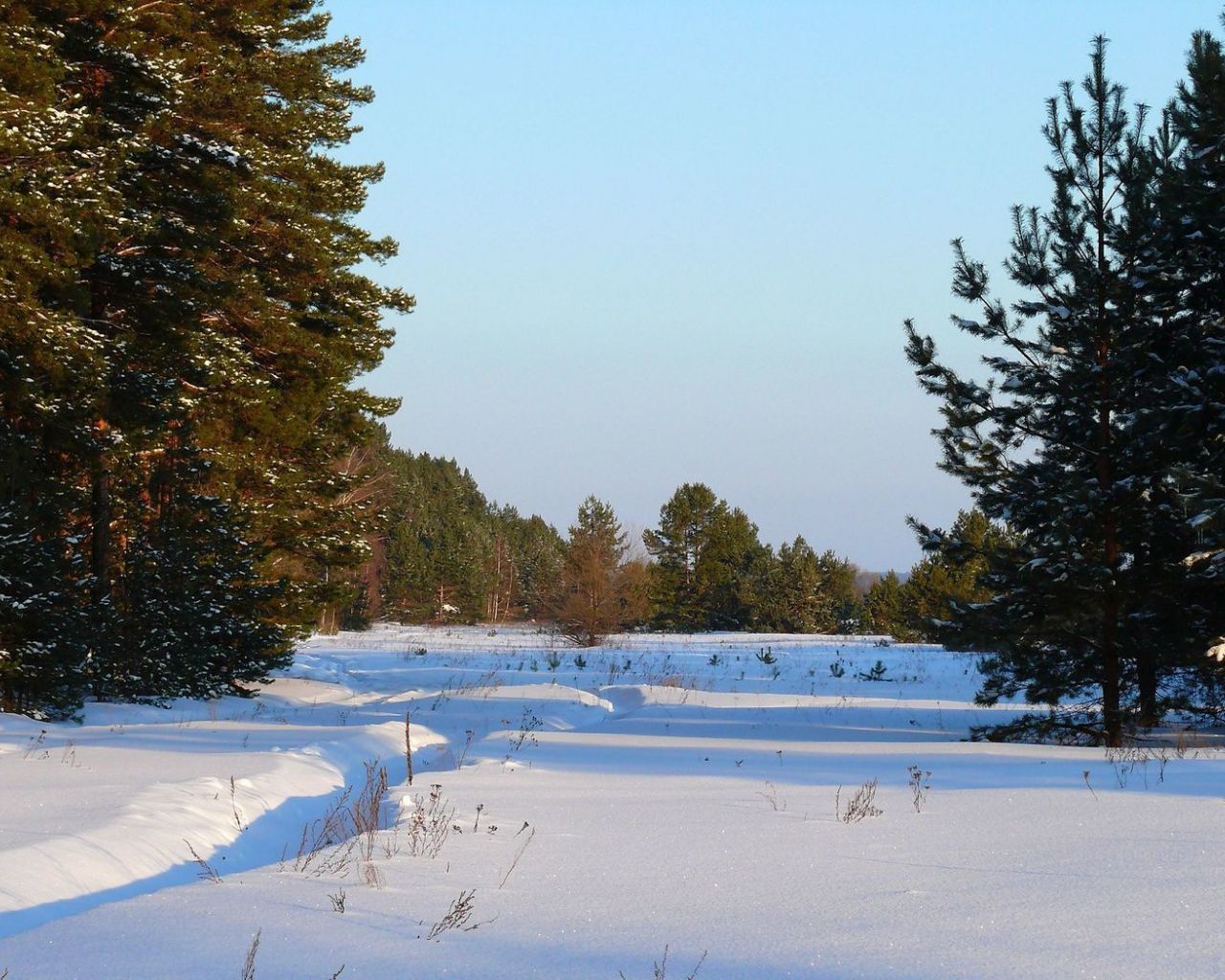 Free download snow on a sunny winter day wallpaper Nature wallpaper 49675 [1680x1050] for your Desktop, Mobile & Tablet. Explore Sunny Winter Day Wallpaper. Sunny Winter Day Wallpaper, Sunny
