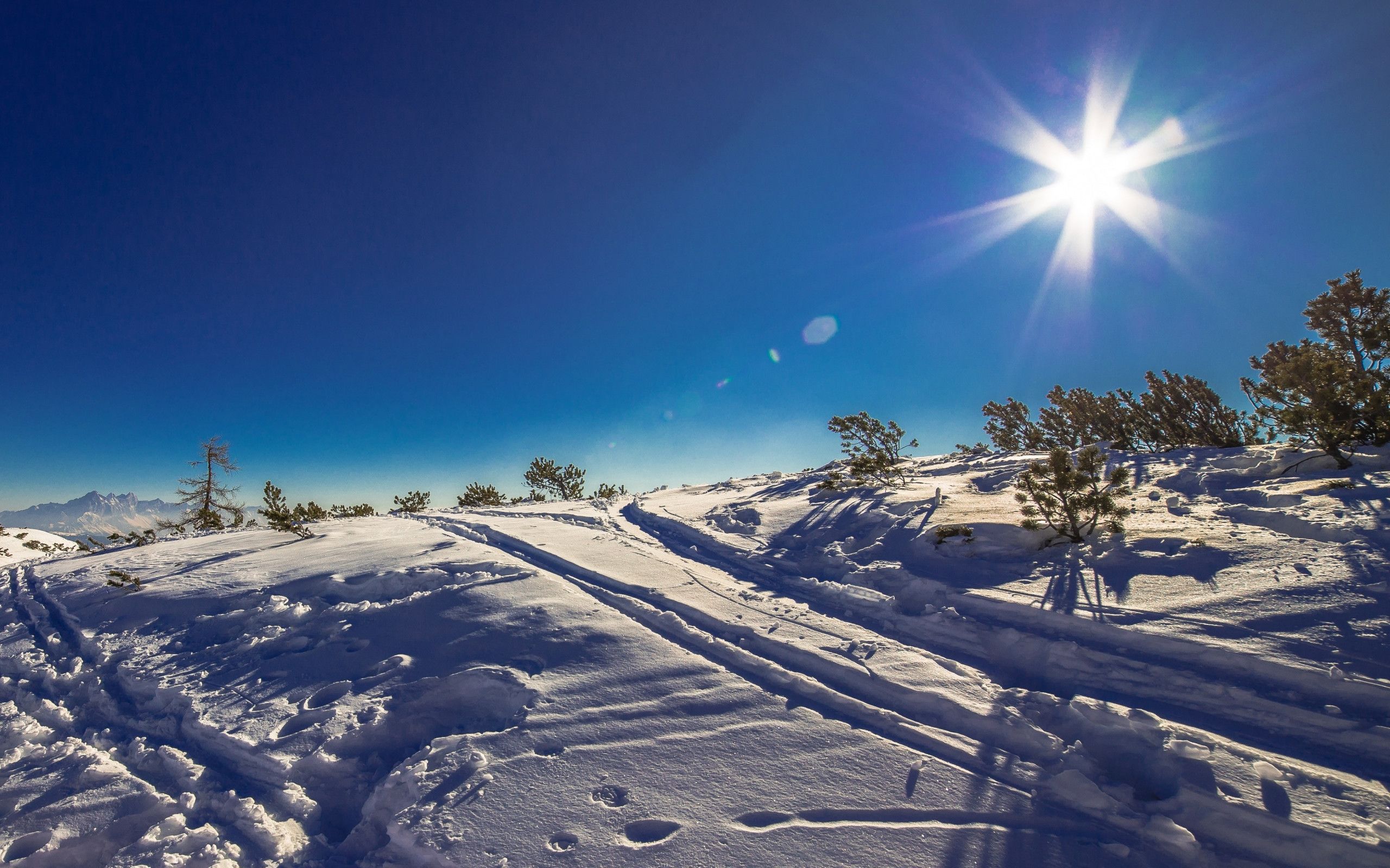 Download wallpaper: Sunny day in this Winter landscape 2560x1600