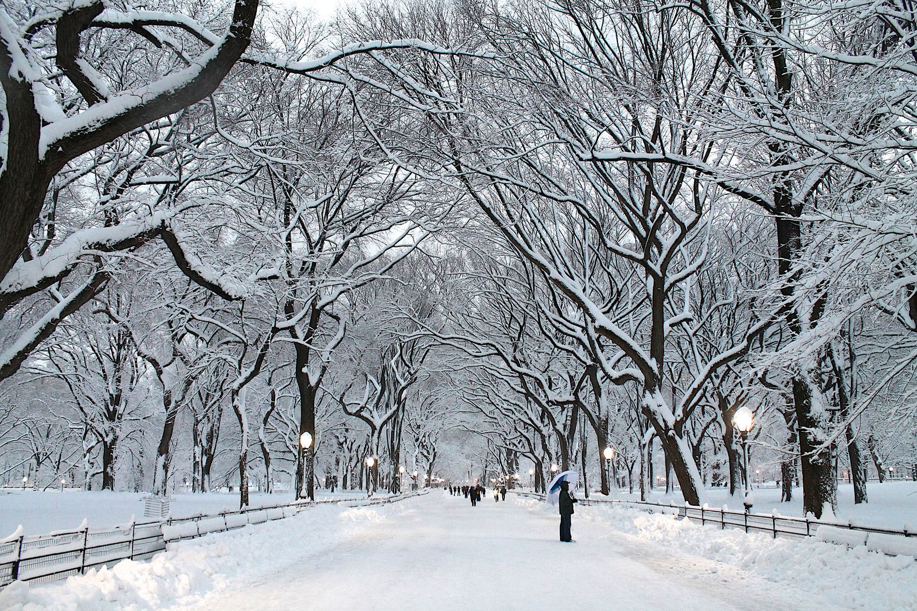 PLACES FOR GREAT SNOW PHOTOS IN NYC