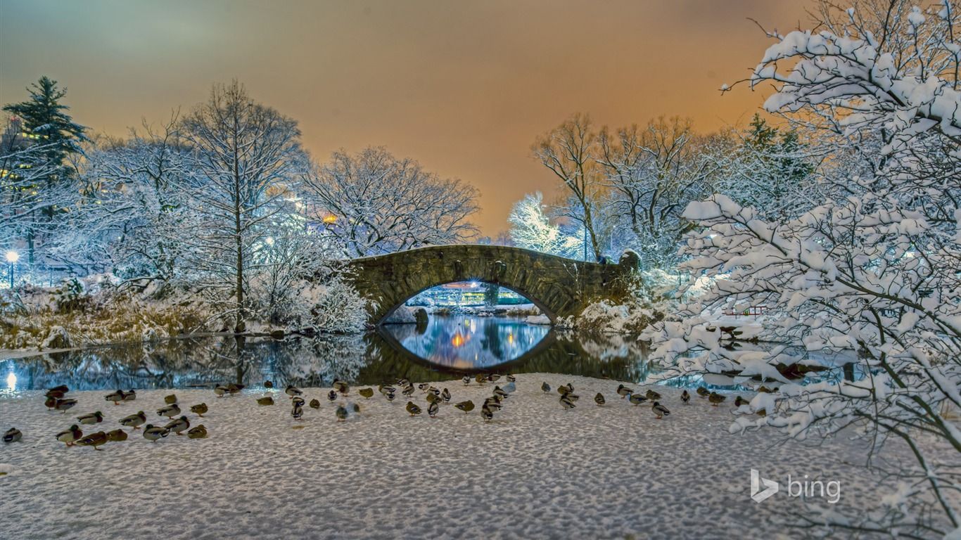 New York Gapstow Bridge Central Park 2016 Bing Desktop D Écran New York Central Parc