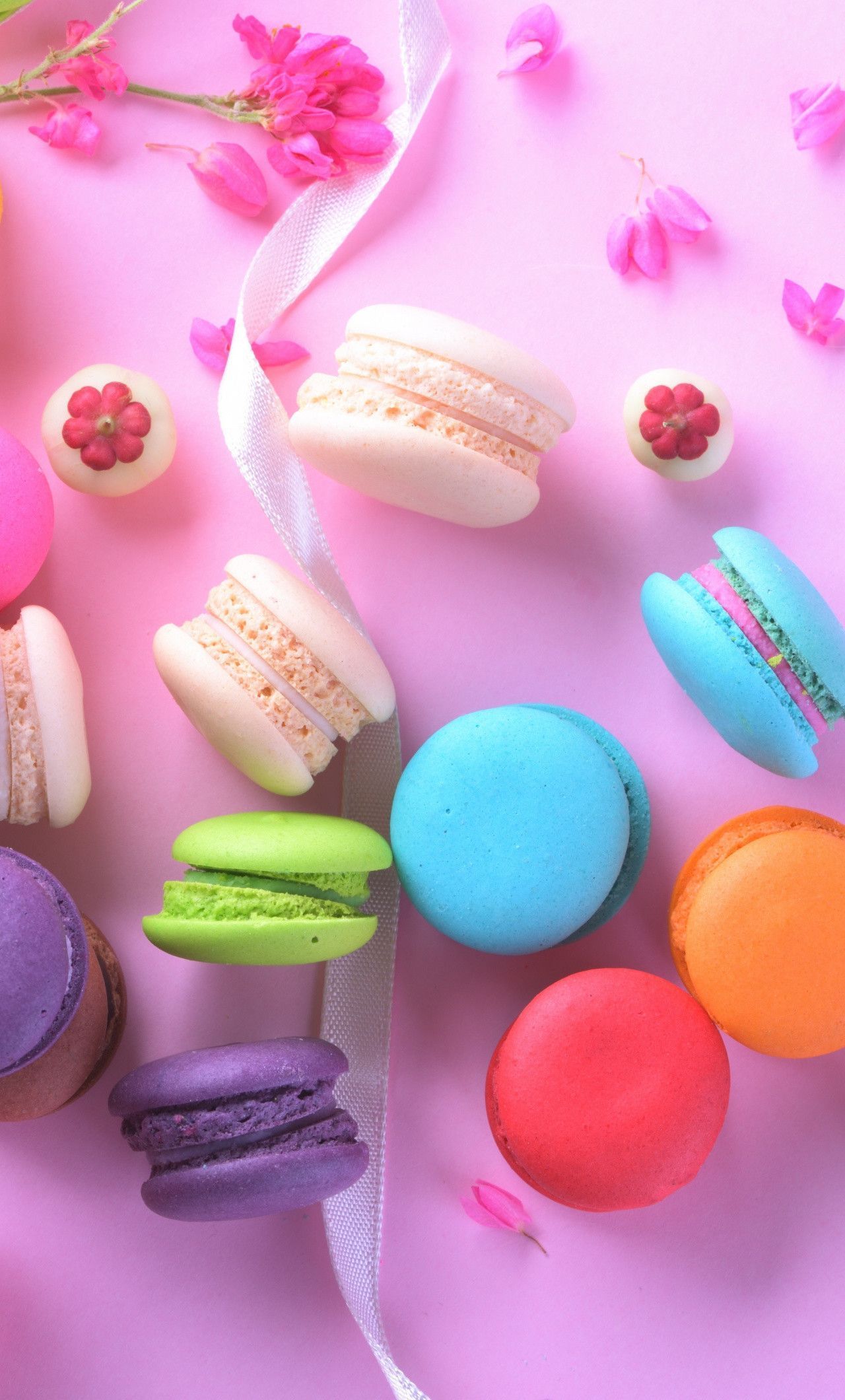 Macaron Wallpaper