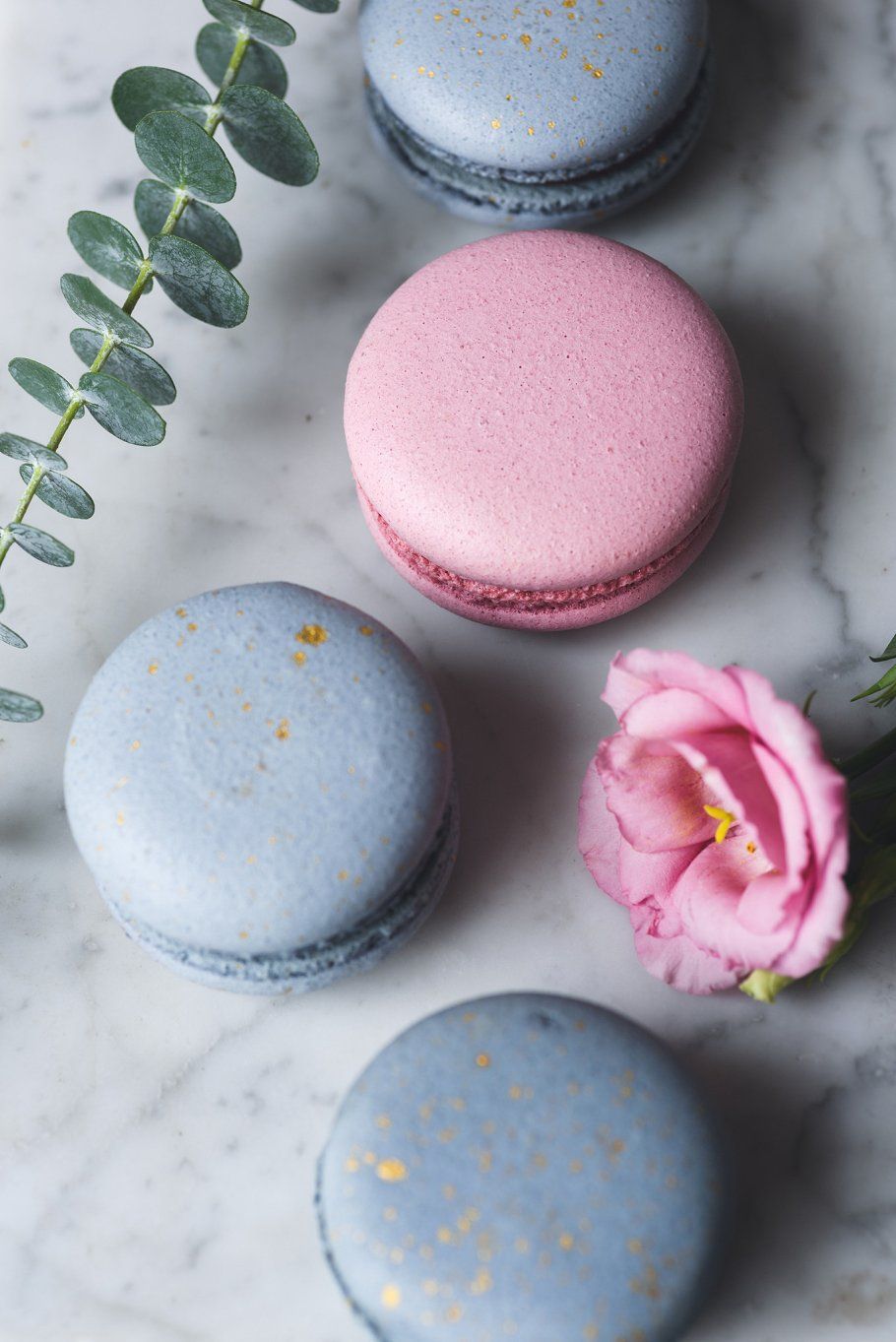 Pastel macaroons or macarons and flowers on marble. Pastel macaroons, Macaron cake, Macaron wallpaper