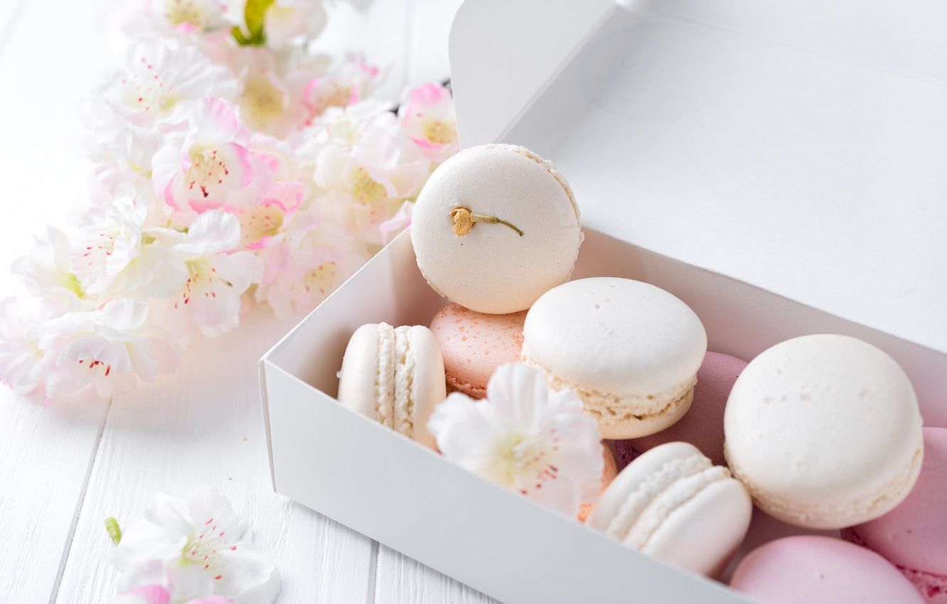 Photo Wallpaper White, Pink, Flowers, French, Macaron