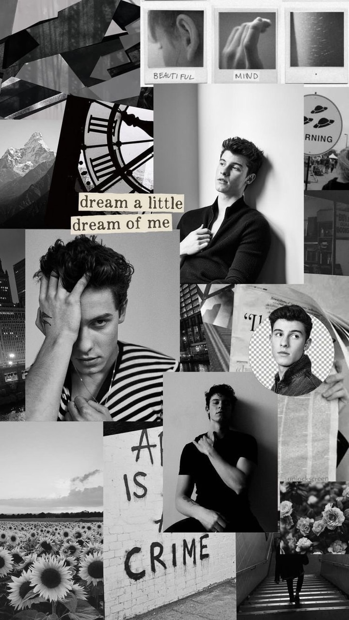 wallpaper, shawn mendes, wallpaper and collage