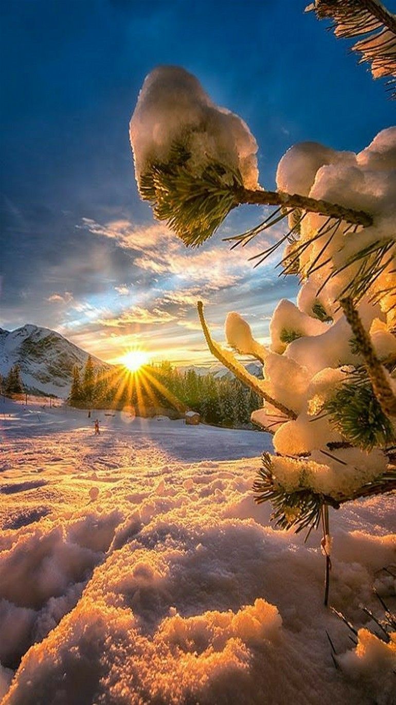 Winter sunrise. Winter scenery, Winter landscape, Winter sunrise