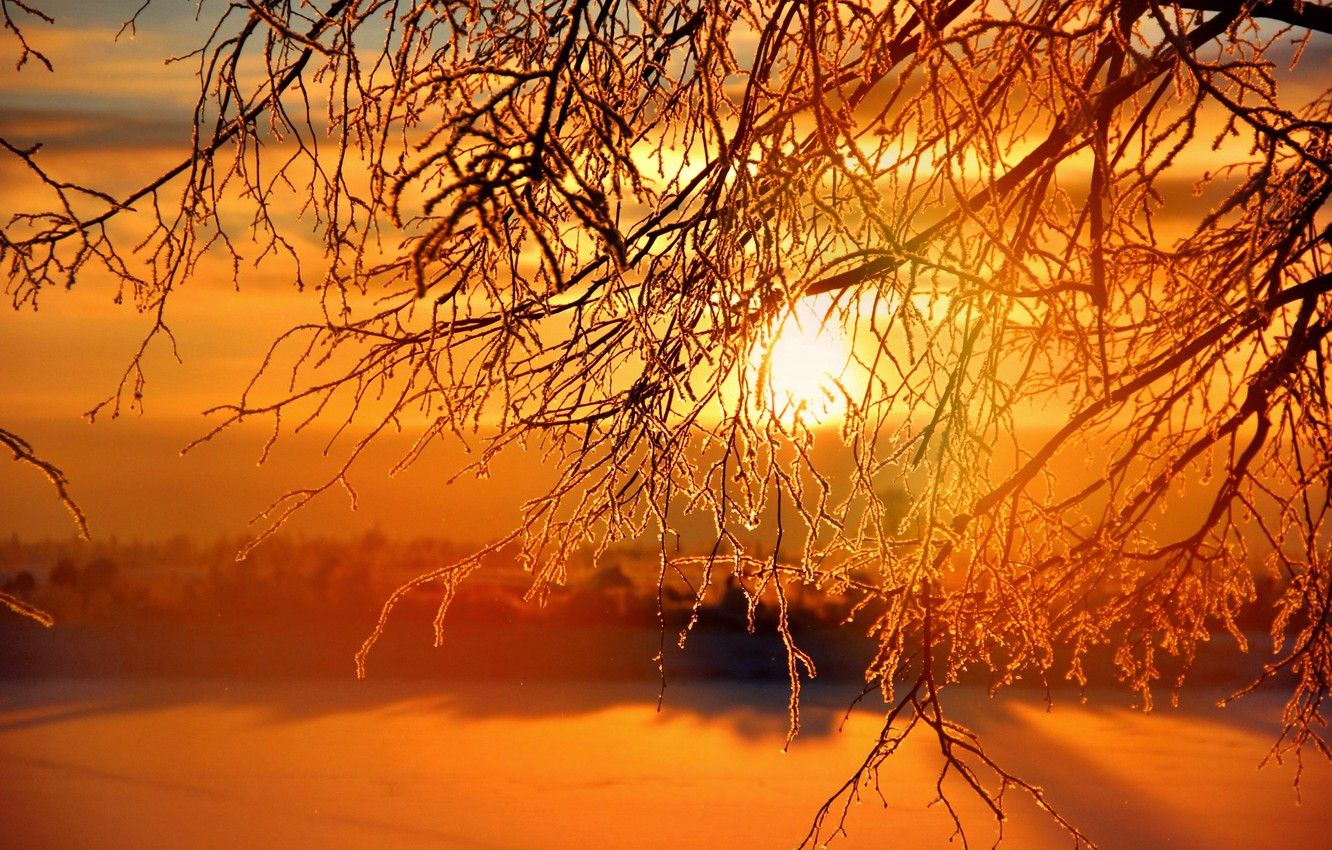 Wallpaper winter, the sun, sunset, sunset, winter, Sunrises image for desktop, section пейзажи