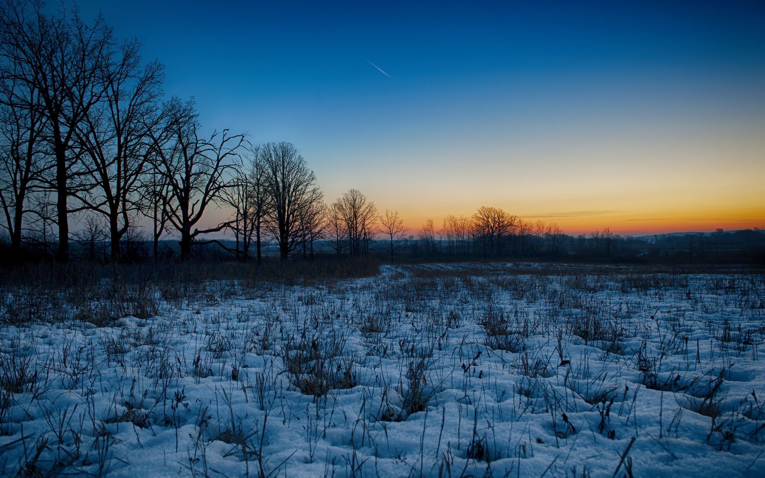 Winter Sunrise HD wallpaper