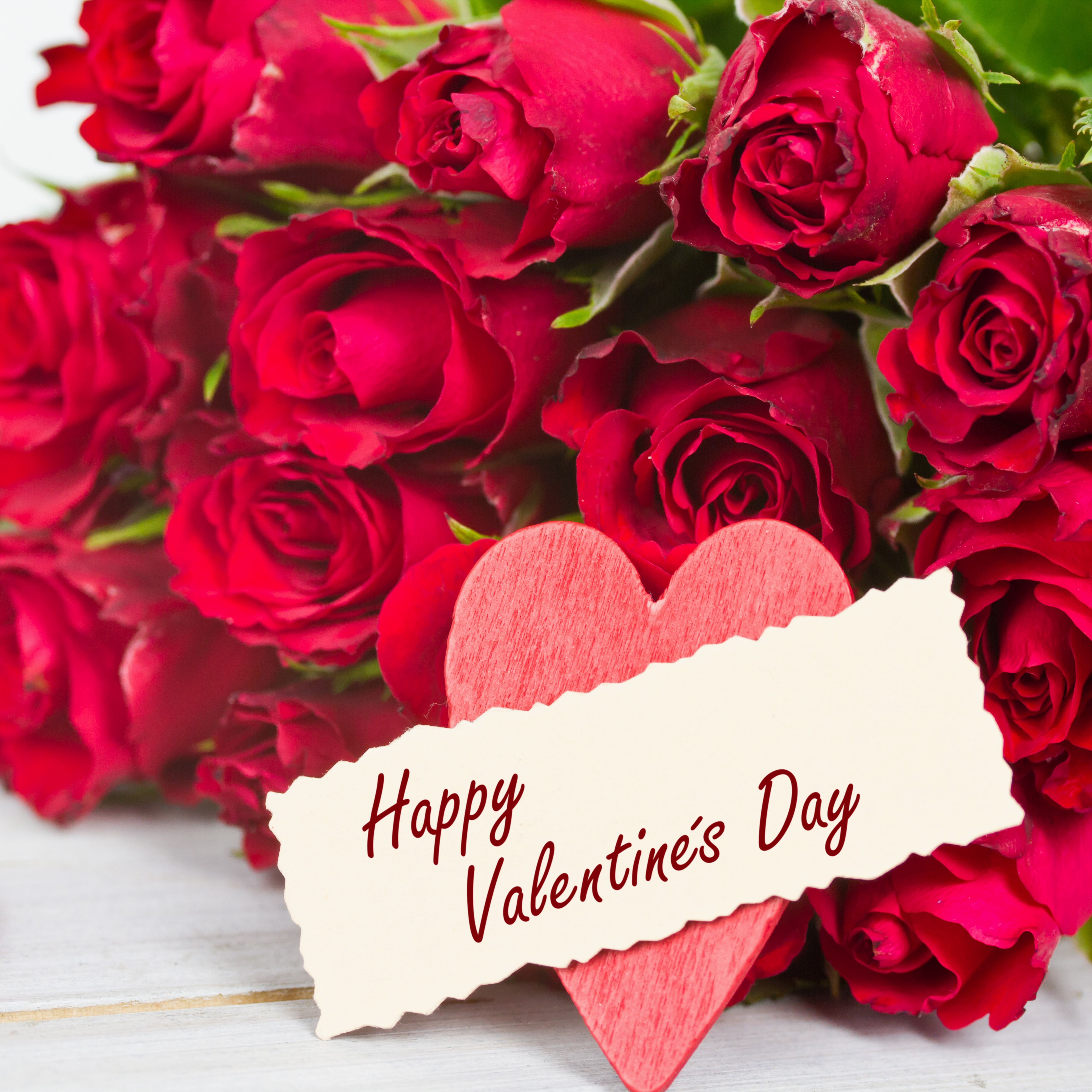Roses Happy Valentine's Day Background Quality Image And Transparent PNG Free Clipart