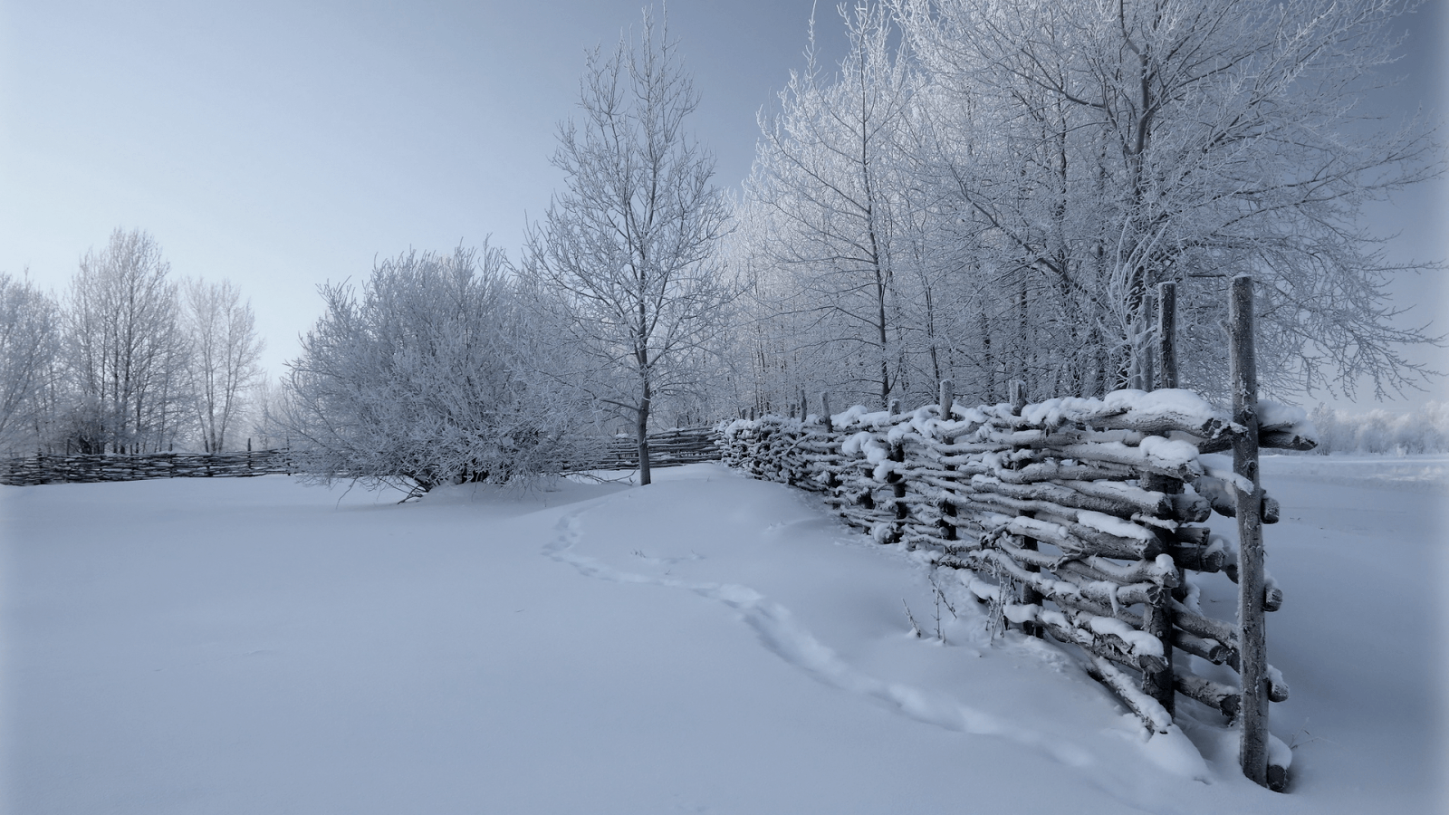Country Winter Wallpaper