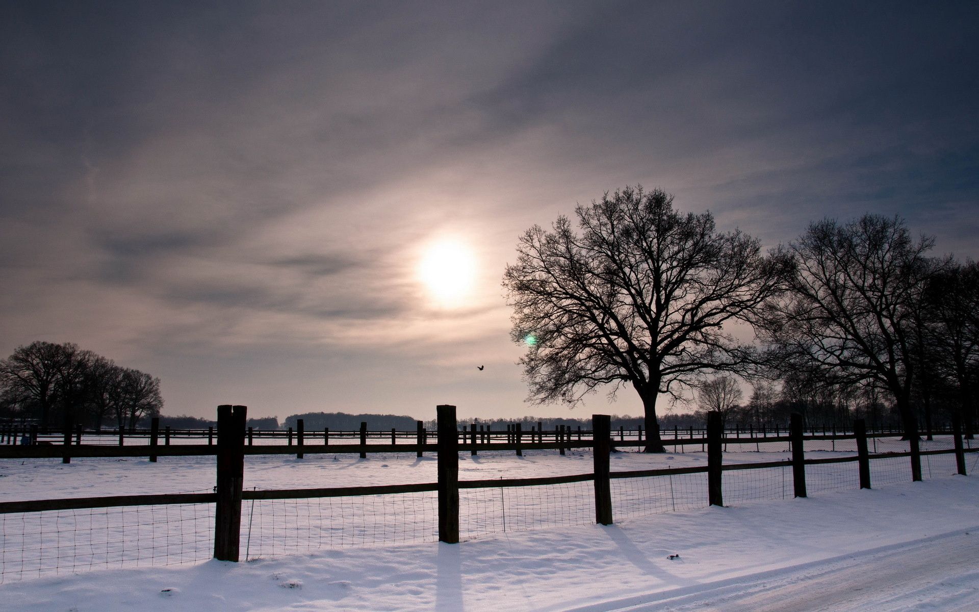 Roads nature landscapes winter snow fence fields trees sunset sunrise sky clouds wallpaperx1200