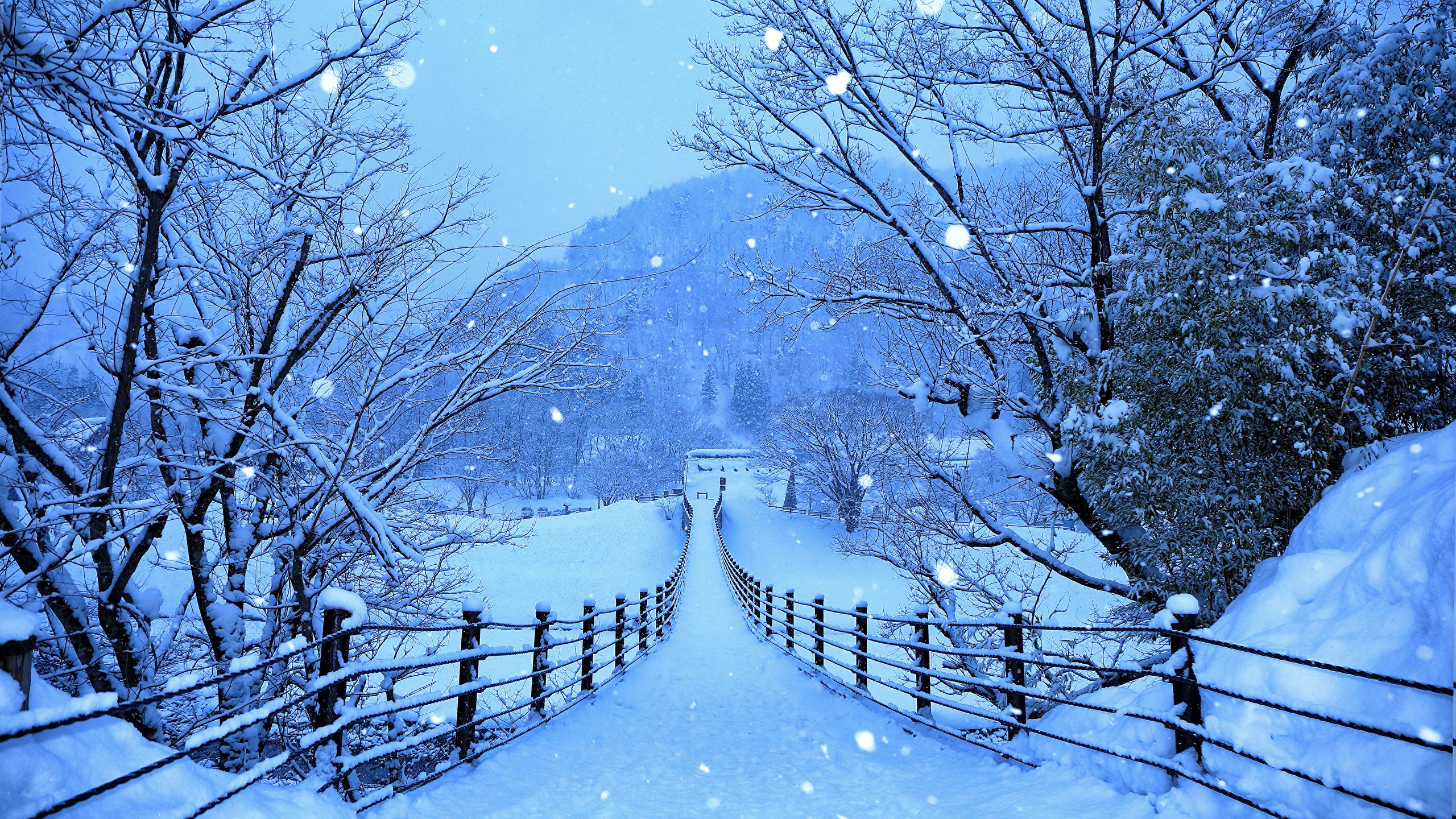 Picture Japan Shirakawa Go And Gokayama Winter Nature Snow 2560x1440