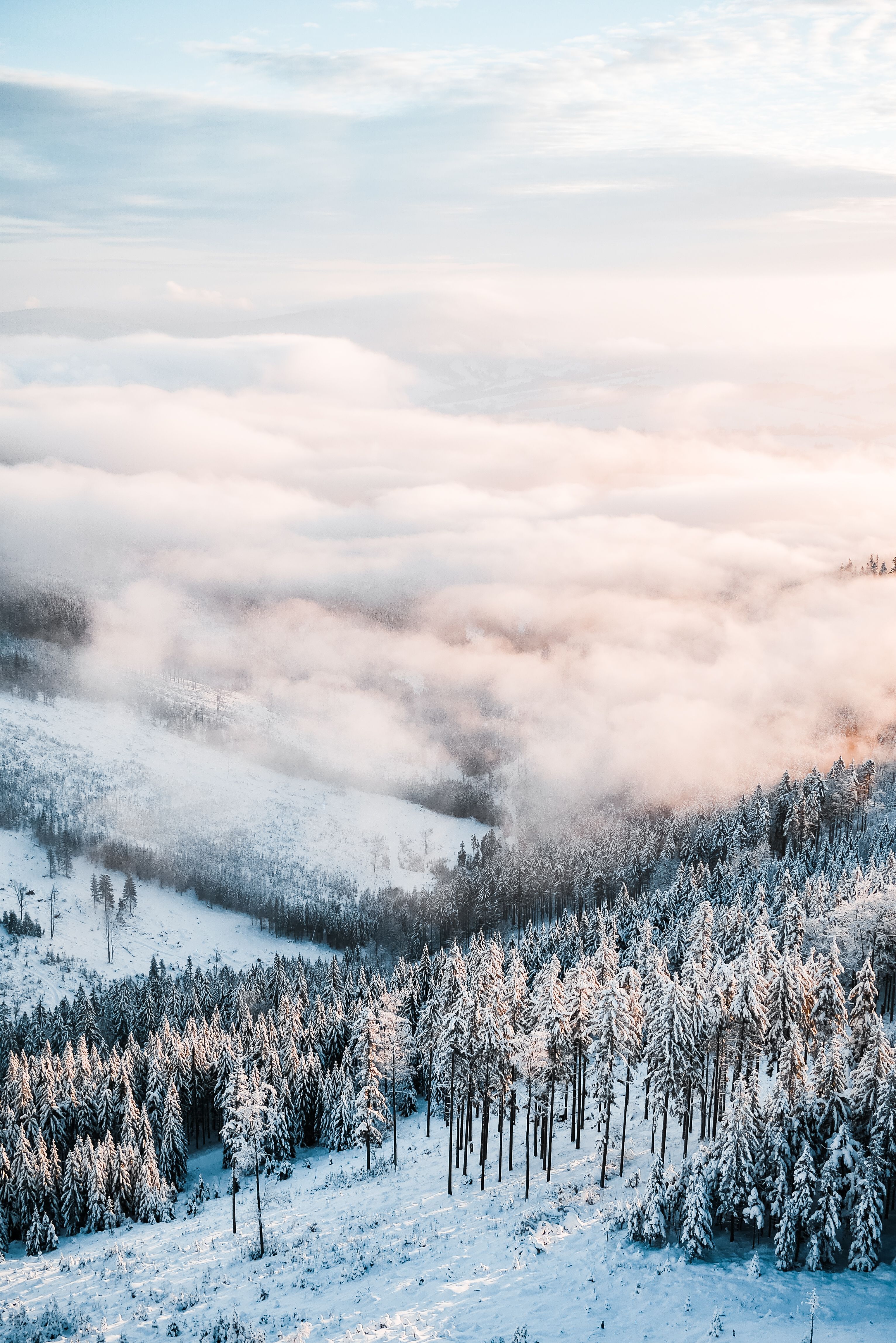 Winter Mountains Scenery Vertical Free