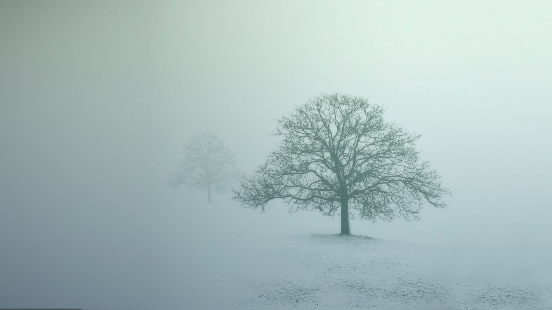 Foggy Winter Scene HD Wallpaperx1080