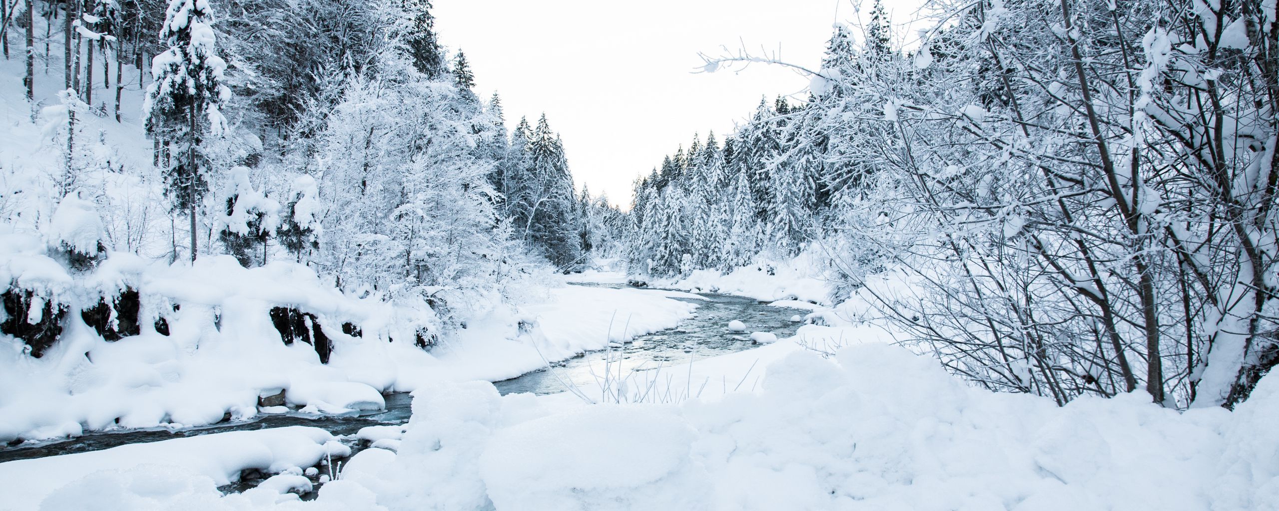 Download wallpaper 2560x1024 river, trees, snow, landscape, winter ultrawide monitor HD background