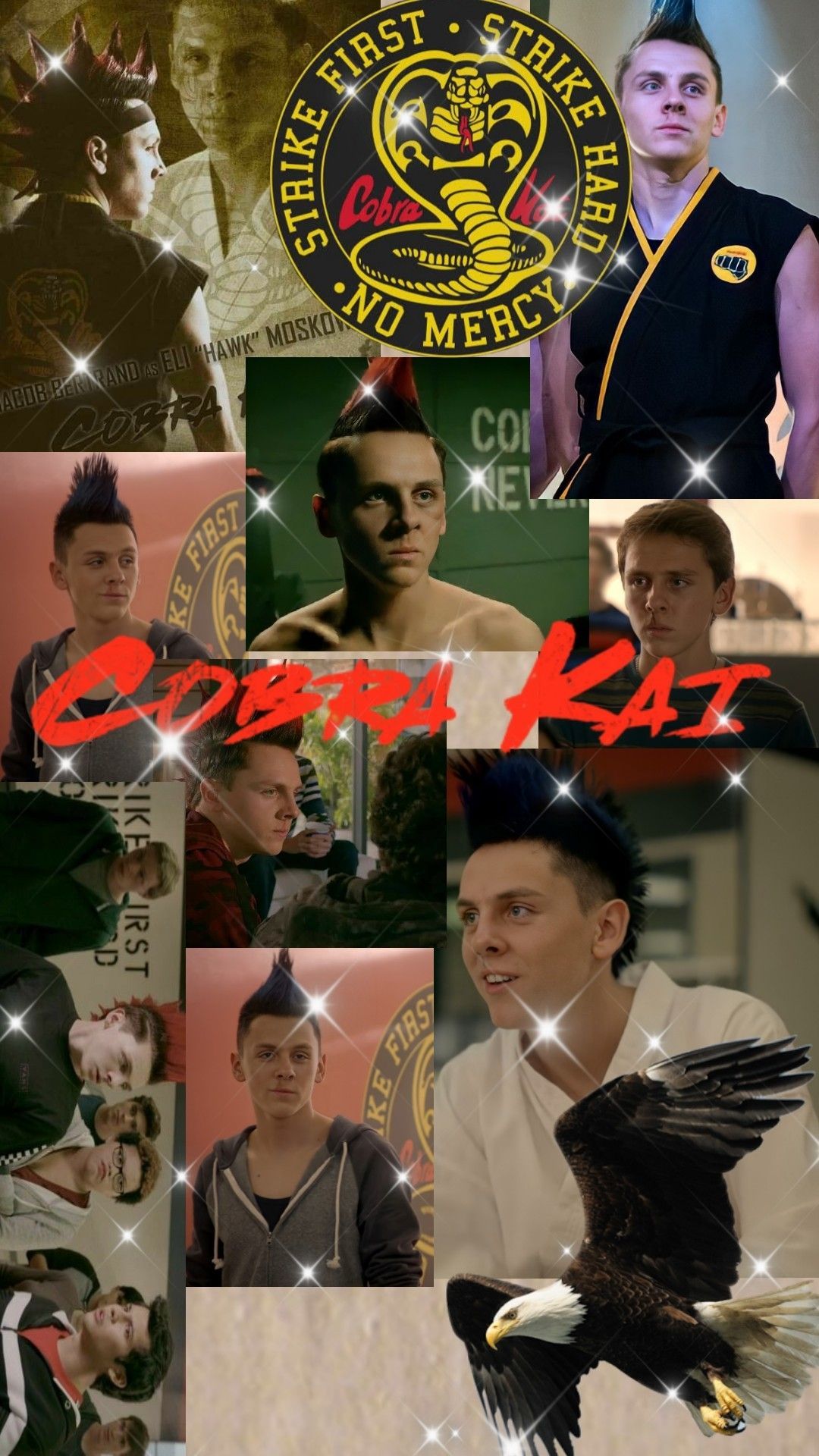 Hawk Eli Cobra Kai Wallpaper In 2020. Karate Kid Cobra Kai, Cobra Kai Wallpaper, Cobra Kai Dojo