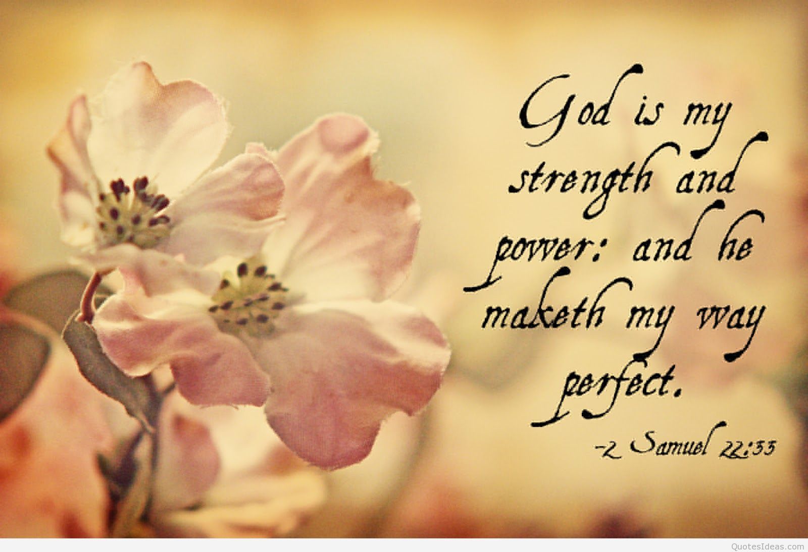 Strength quotes image and background hd