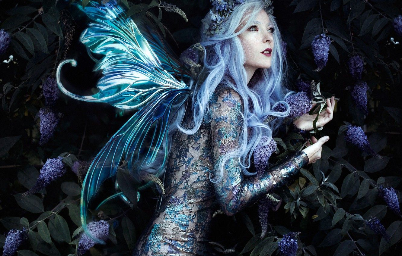 Wallpaper girl, pose, style, fairy, wings, wreath, Bella Kotak, Jessica Dru, Fae image for desktop, section стиль