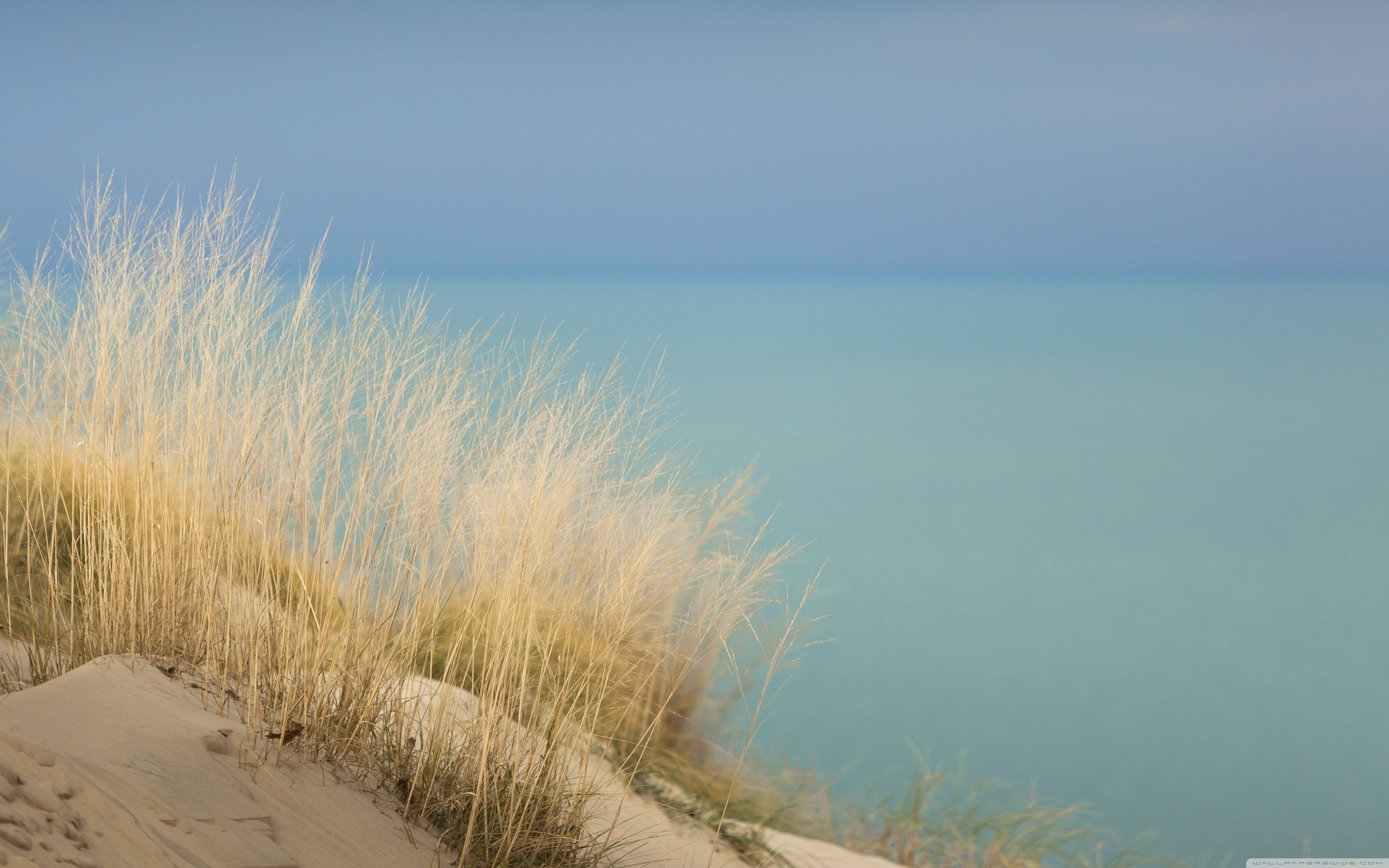 Indiana Dunes Ultra HD Desktop Background Wallpaper for 4K UHD TV, Widescreen & UltraWide Desktop & Laptop, Tablet