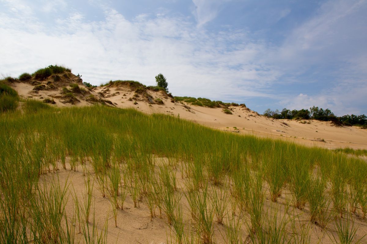 Indiana Dunes Wallpapers - Wallpaper Cave