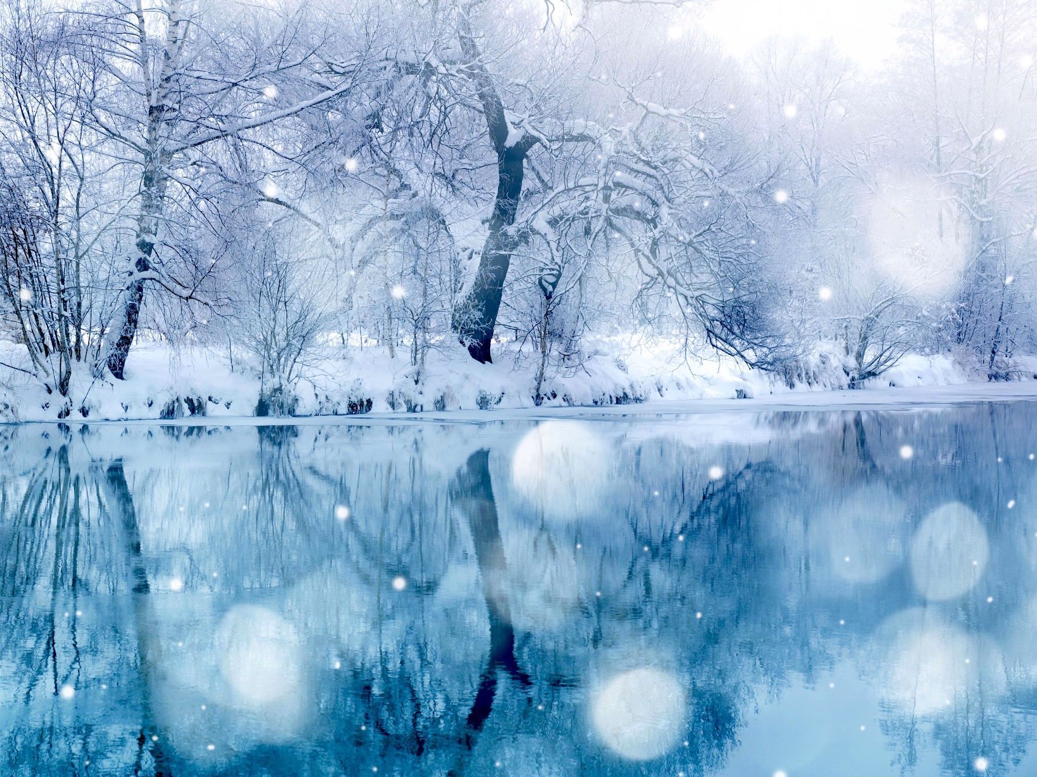 Winter Wallpaper