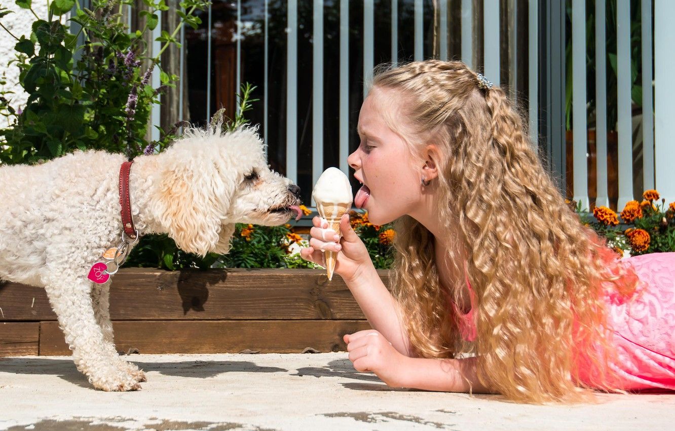 Wallpaper each, dog, ice cream, girl image for desktop, section собаки