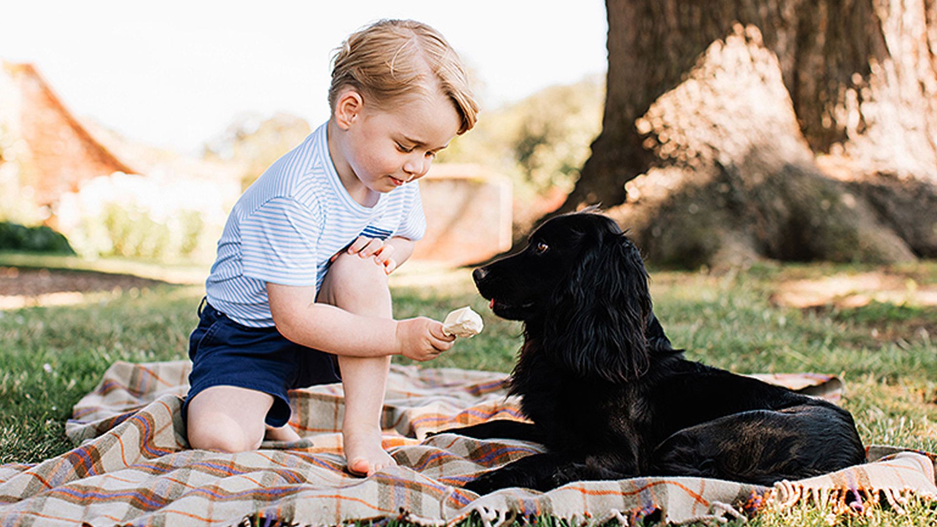 Prince George Feeding Lupo Ice Cream Photo Controversy