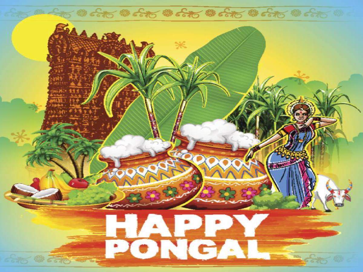 Happy Pongal 2020: Image, Wishes, Messages, Quotes, Cards, Greetings, Picture, GIFs and Wallpaper of India