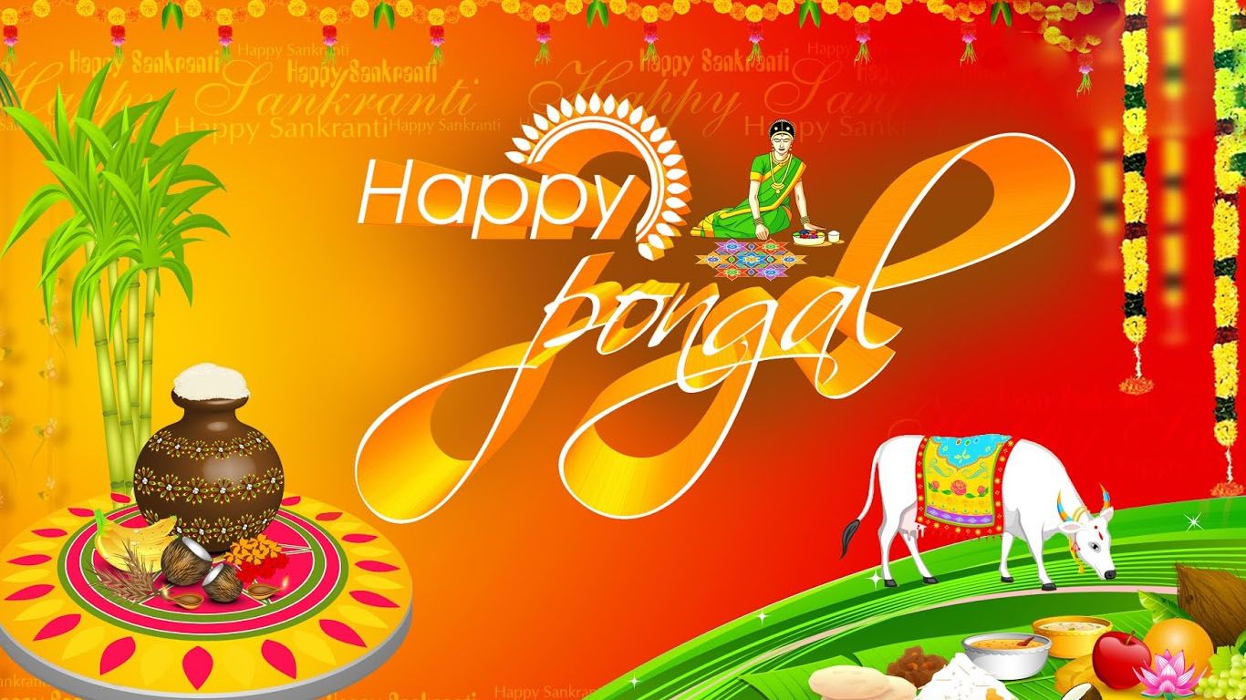 Happy Pongal 2020 Image, HD Picture, Ultra HD Wallpaper, 3D Photo, 4K Photographs, High Quality Image, And Photo For WhatsApp, Facebook, FB Story, WhatsApp Story, Instagram, Twitter, IMO, IMessage, WeChat, Line, And Viber