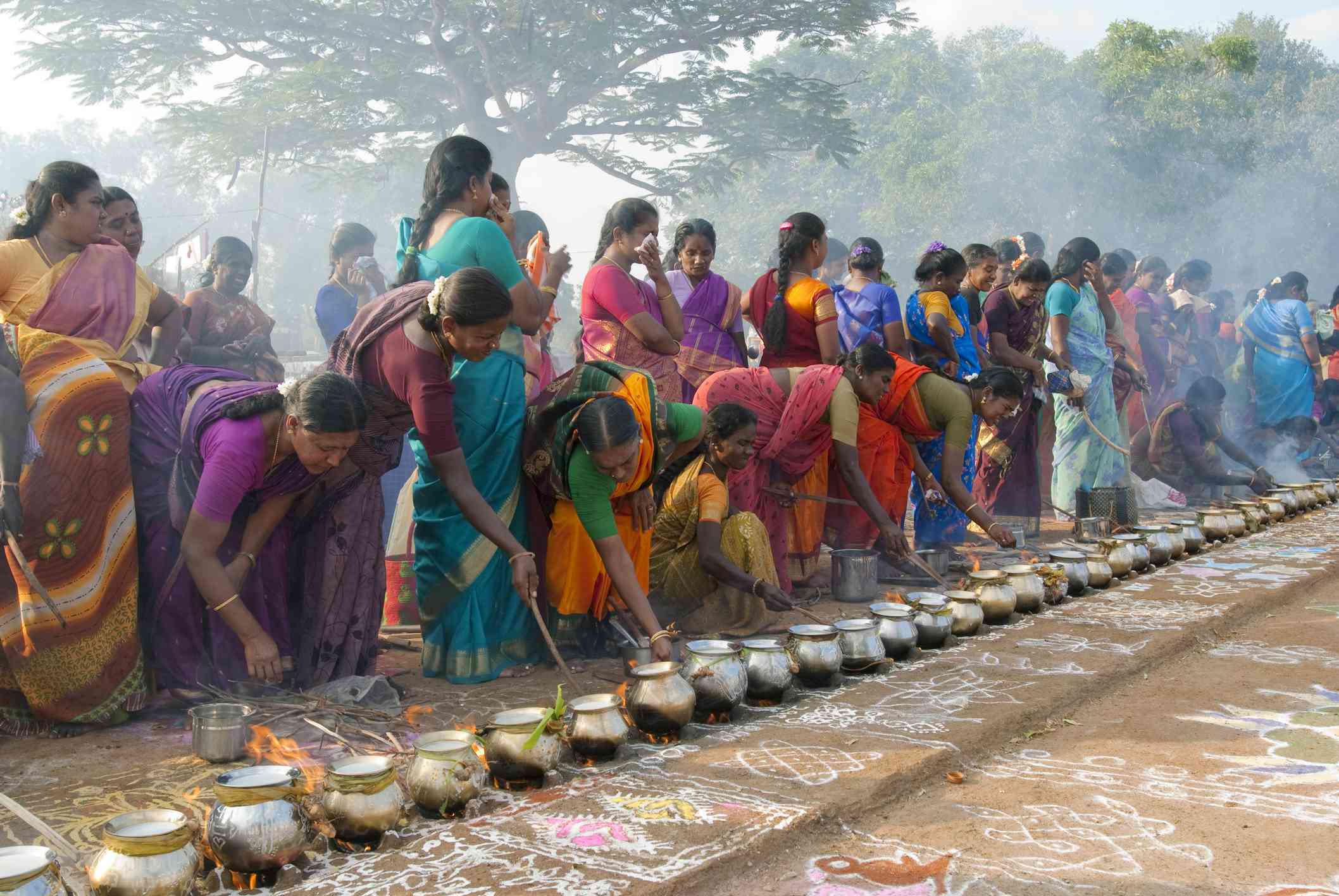 Photo Gallery: 13 Pongal Festival Picture in Tamil Nadu