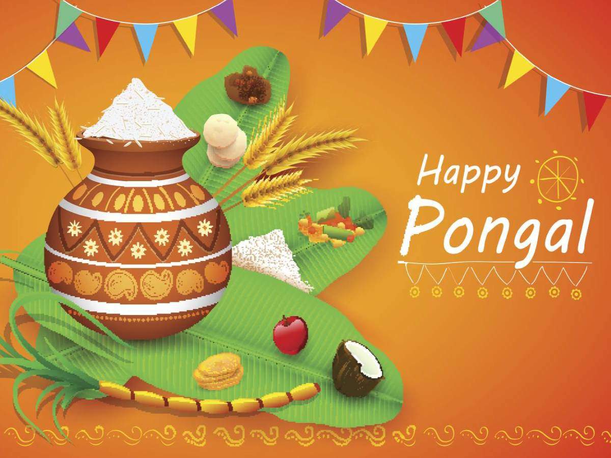 Happy Pongal 2020: Image, Wishes, Messages, Quotes, Cards, Greetings, Picture, GIFs and Wallpaper of India