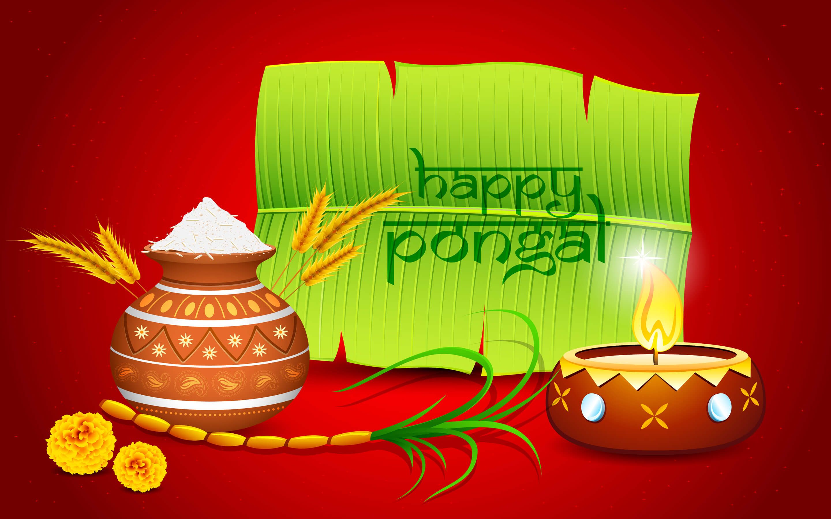 Happy Pongal Festival 2021 Wishes. Bhogi, Maattu Pongal, Jallikattu, Kaanum Pongal and More
