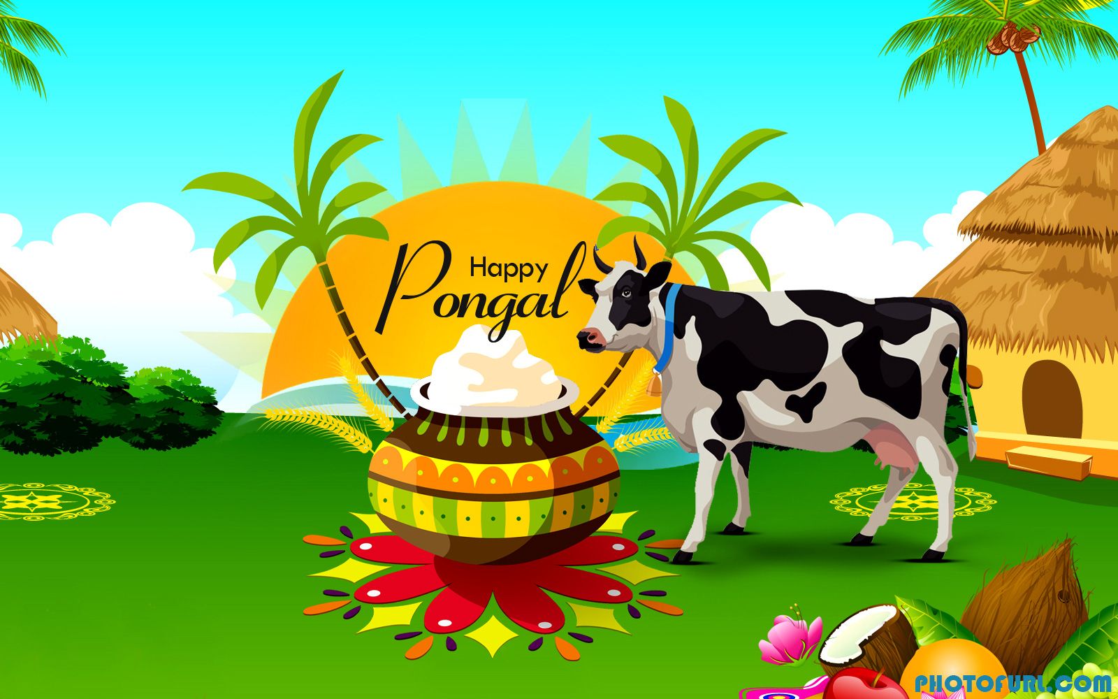 Happy 2019 Pongal Festival Image and Wallpaper for WhatsApp and Facebook