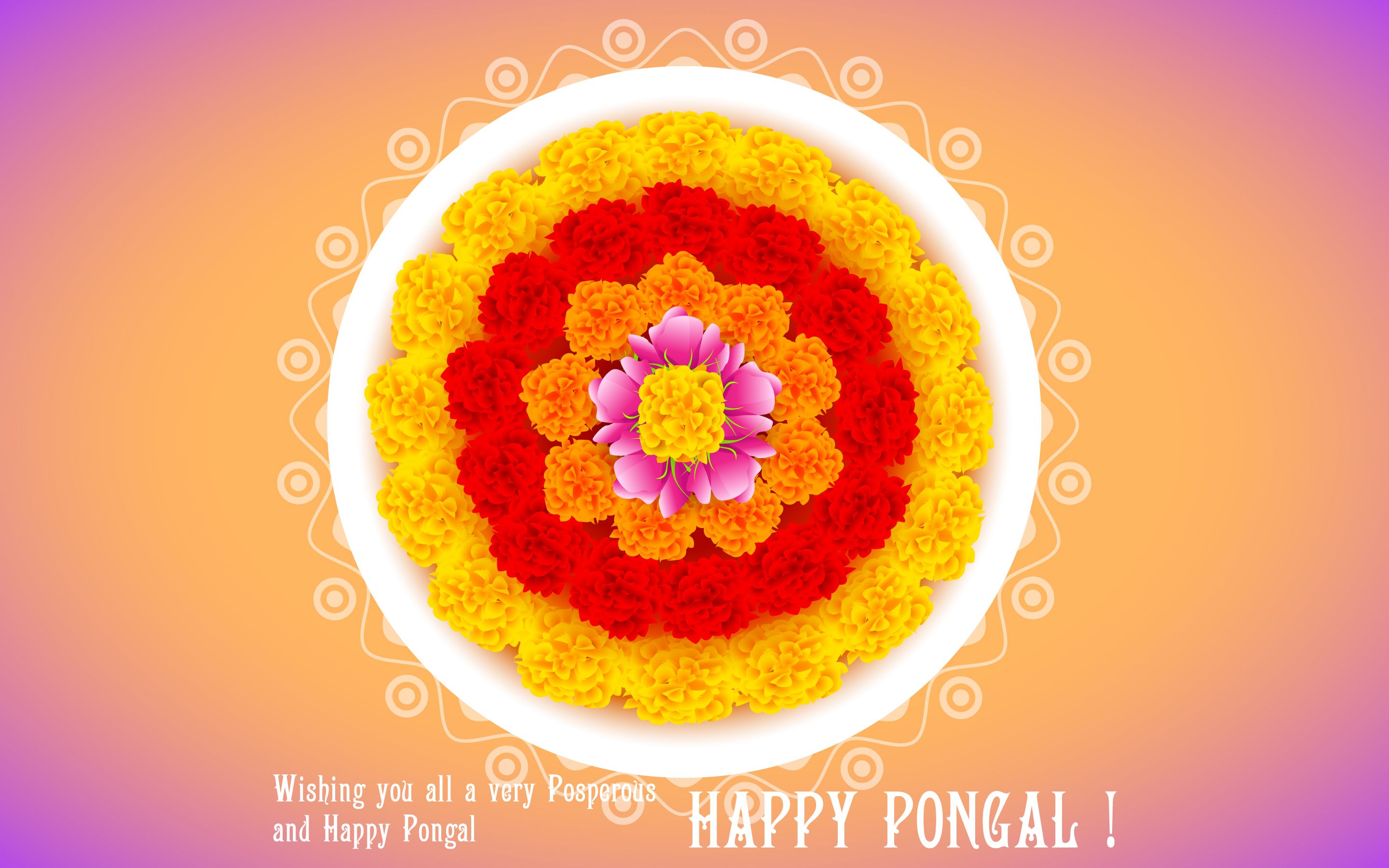 Free Download Pongal Greetings