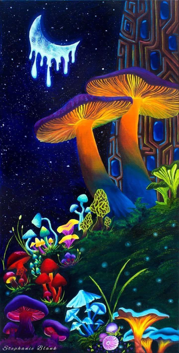 Psychedelic Shroom Room ideas. mushroom art, psychedelic mushroom, psychedelic