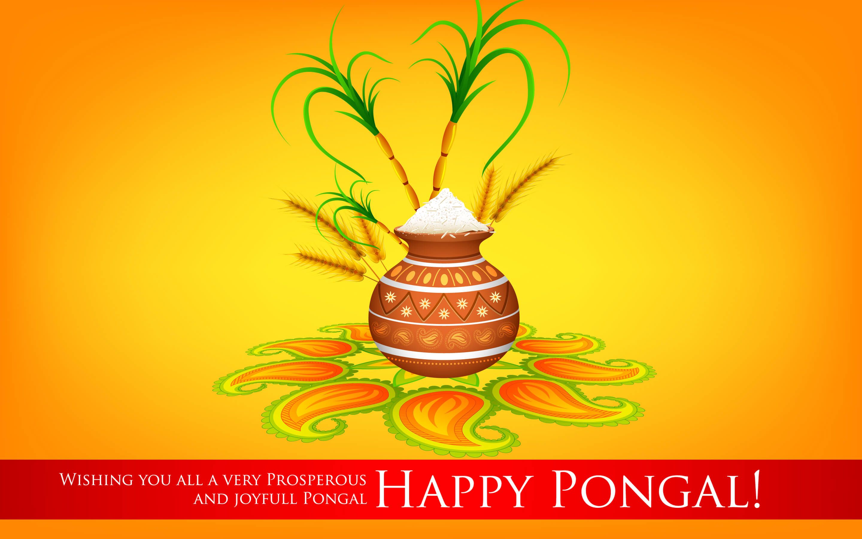 Pongal Festival Wallpapers Wallpaper Cave