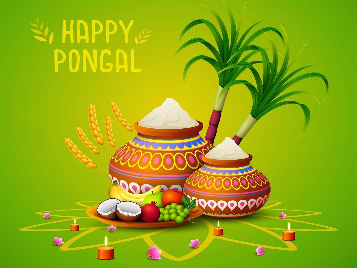 Happy Pongal 2020: Wishes, Messages, Quotes, Image, Facebook & Whatsapp status of India