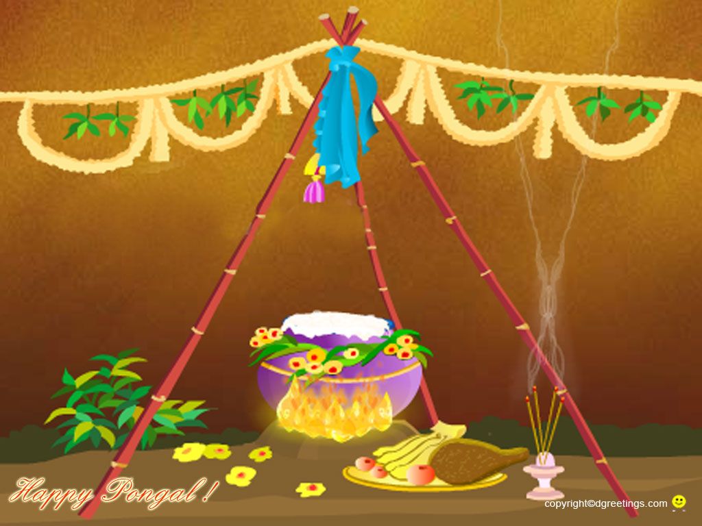 Pongal Wallpaper Celebrations At Home