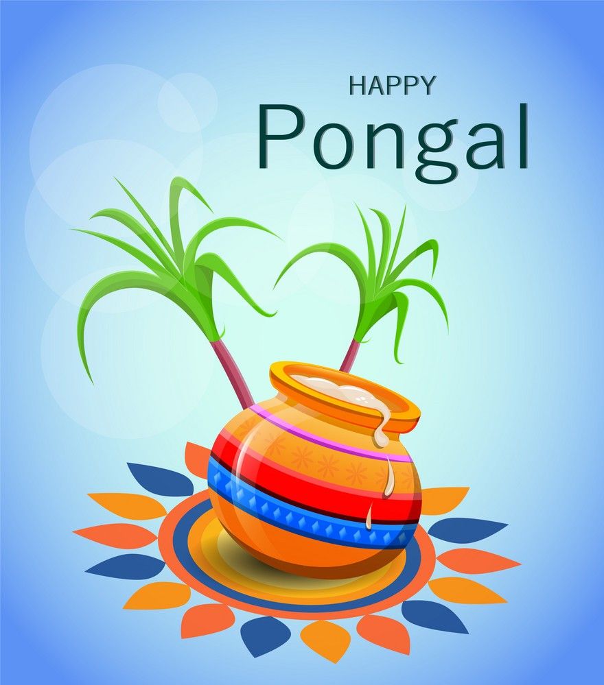 Happy Pongal Greetings Cards and wishes Image, Photo, Status and Messages