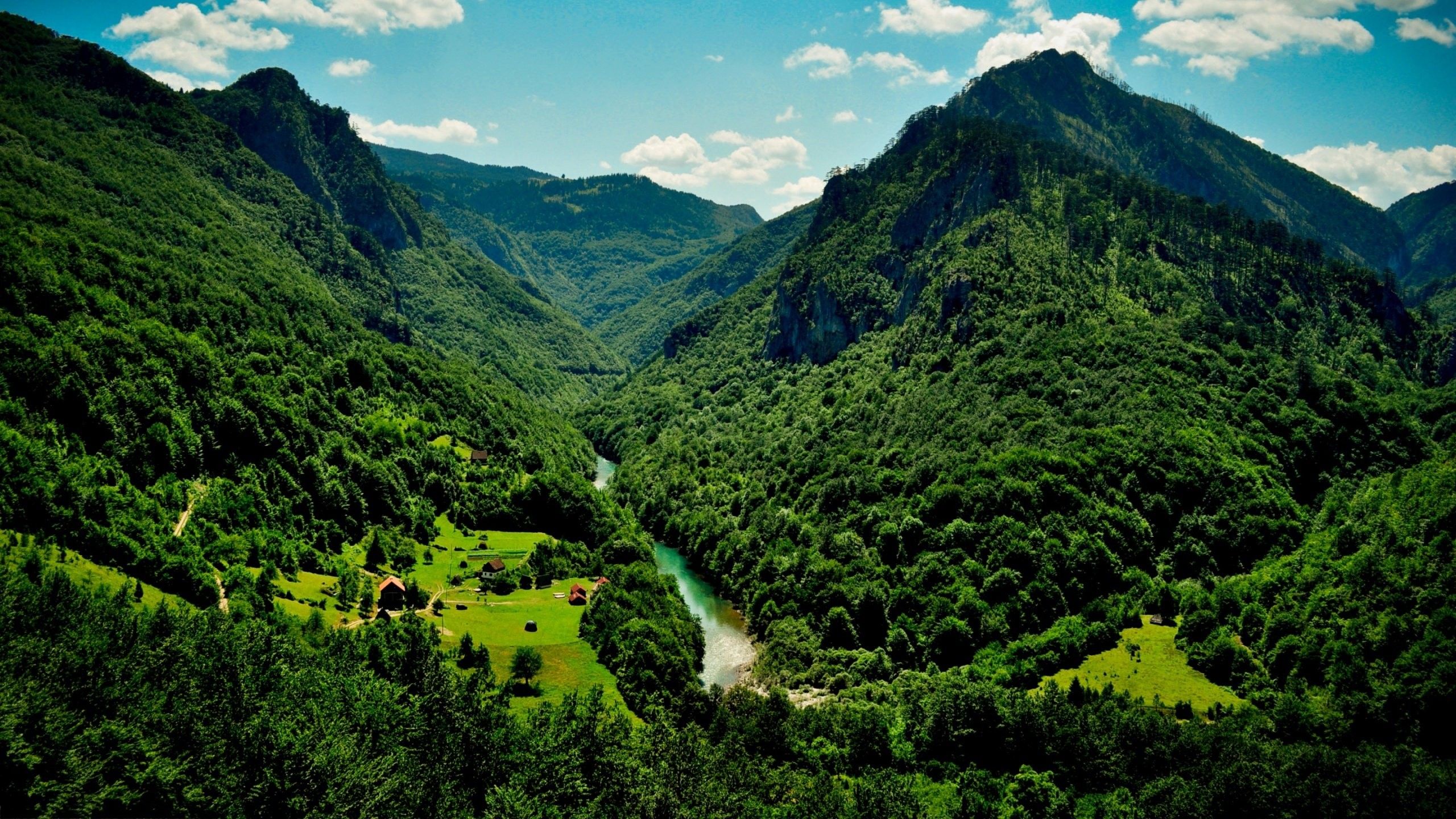 4k Ultra HD Nature Wallpaper 2560x Forest Landscape