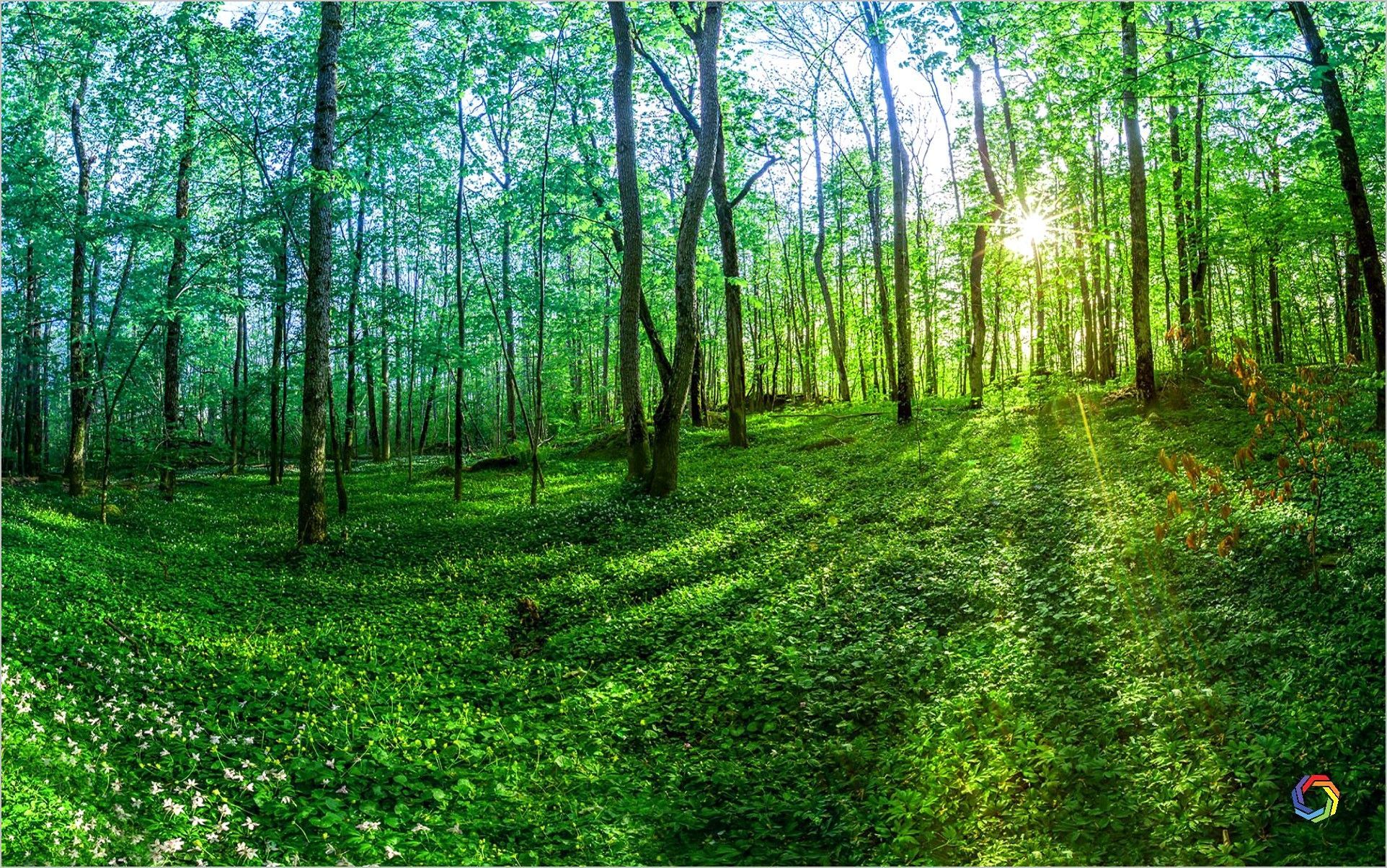 Nature Wallpapers Hd Desktop Images Landscape Green