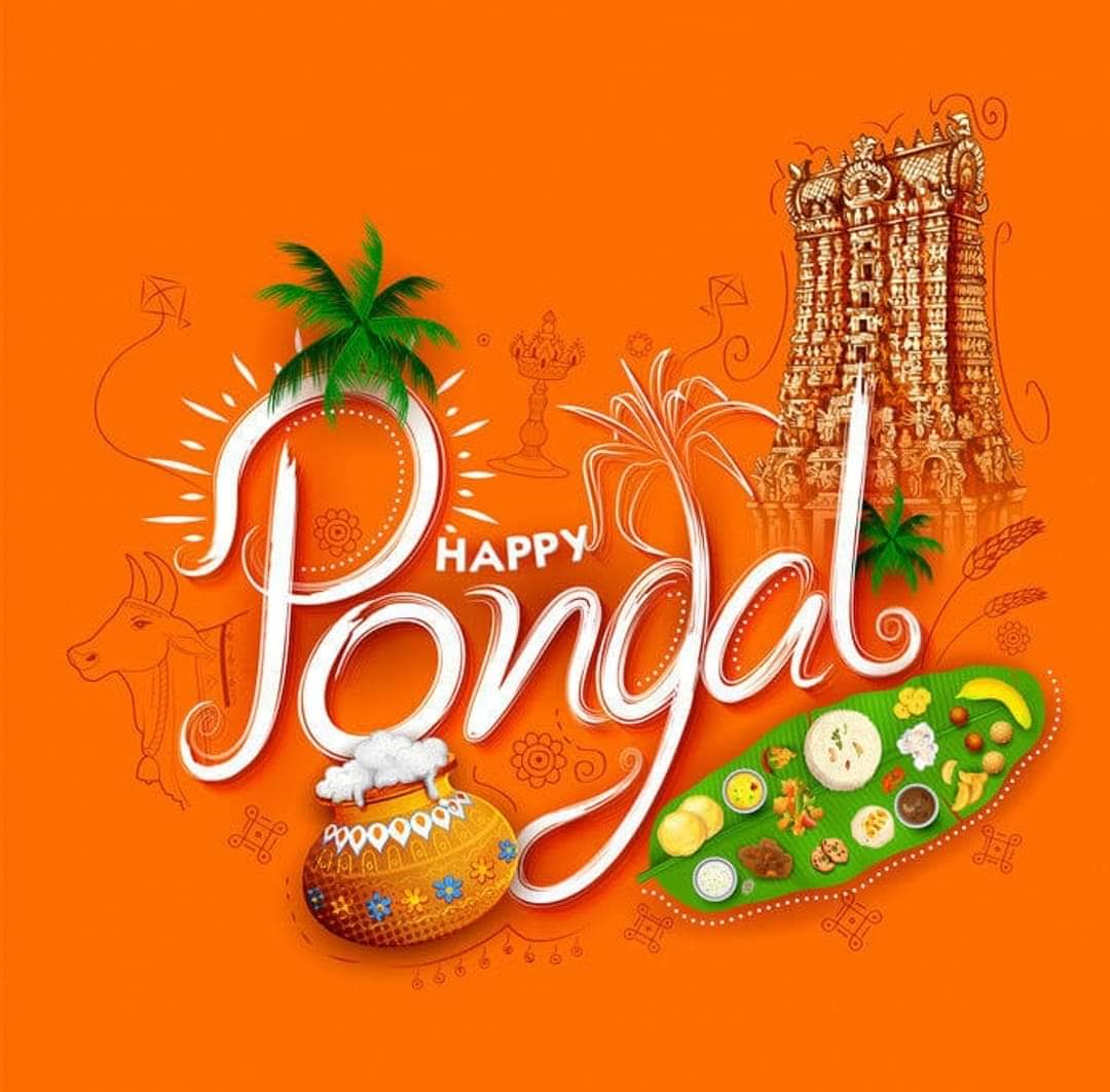 Pongal festival wallpaper