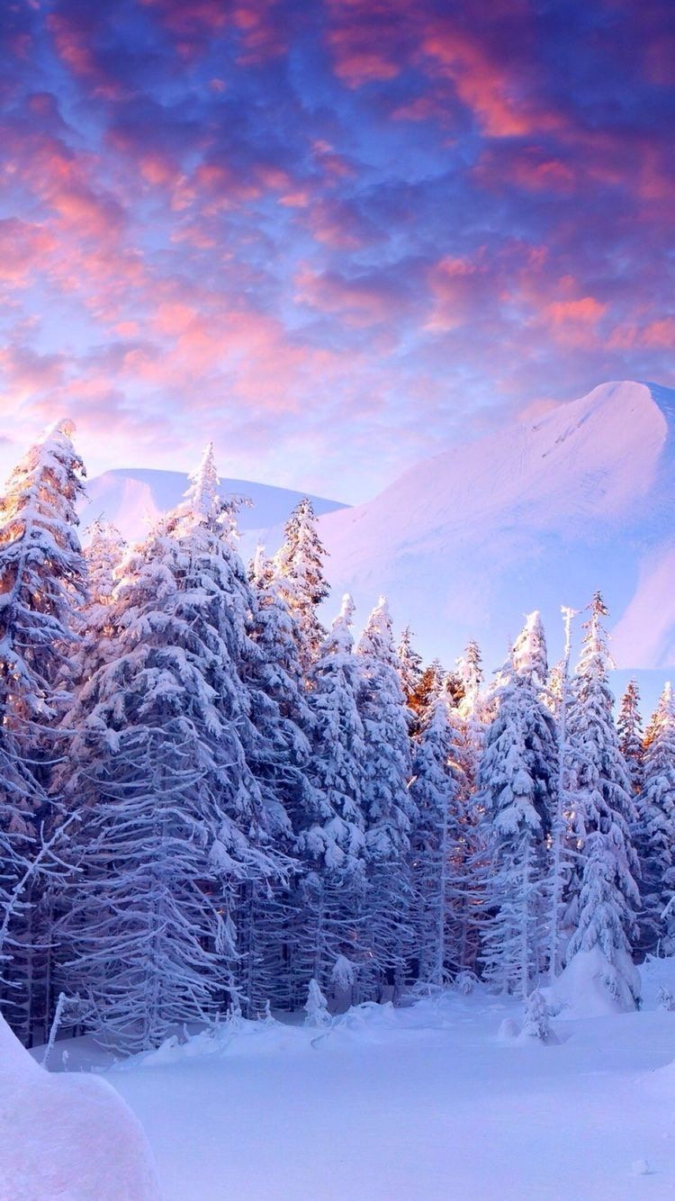 iPhone and Android Wallpaper: Snowy Winter Landscape Wallpaper for iPhone and Android. Landscape wallpaper, Winter wallpaper, Winter landscape