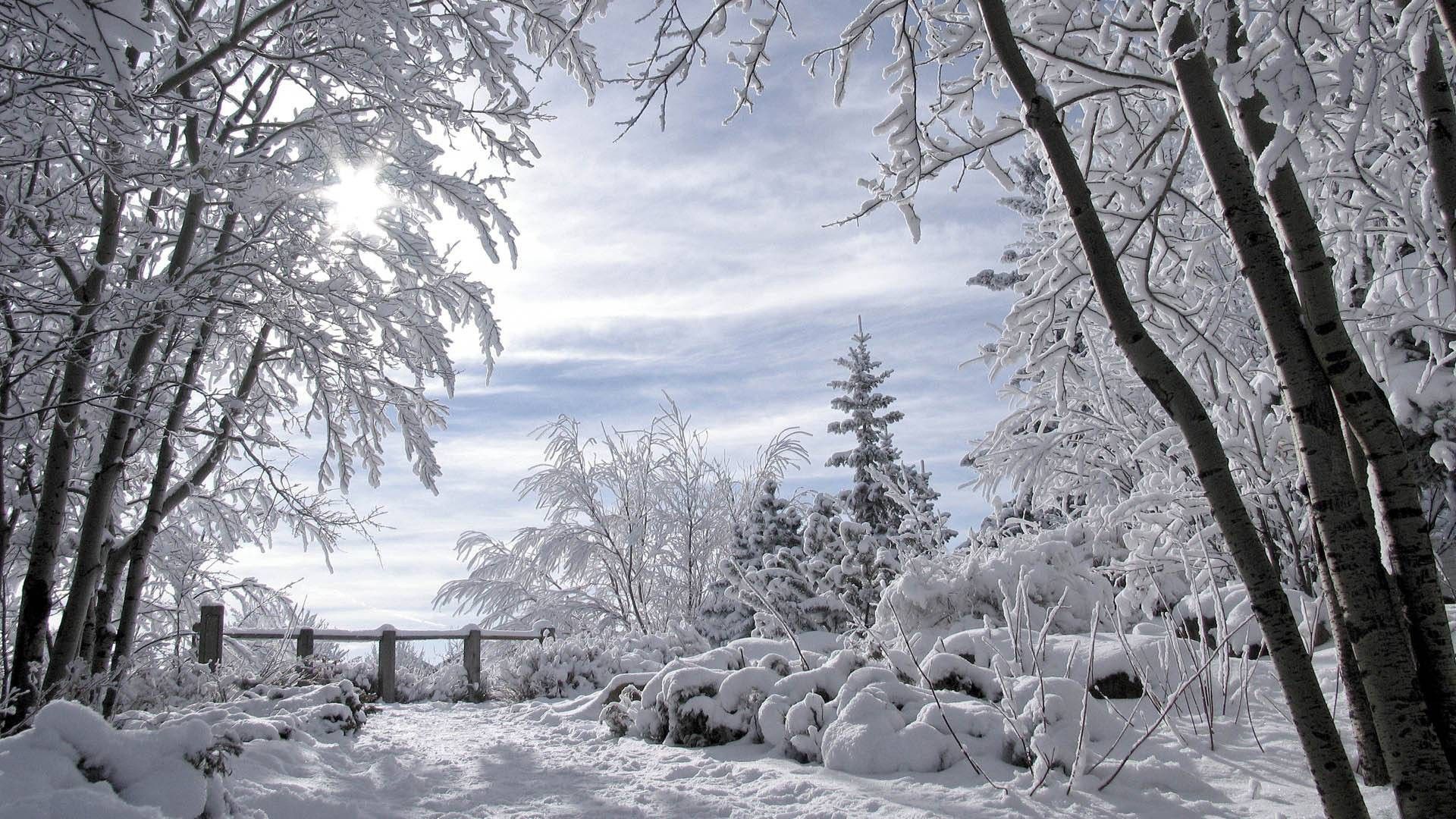 Download Wallpaper tree snow winter, 1920x Romantic winter