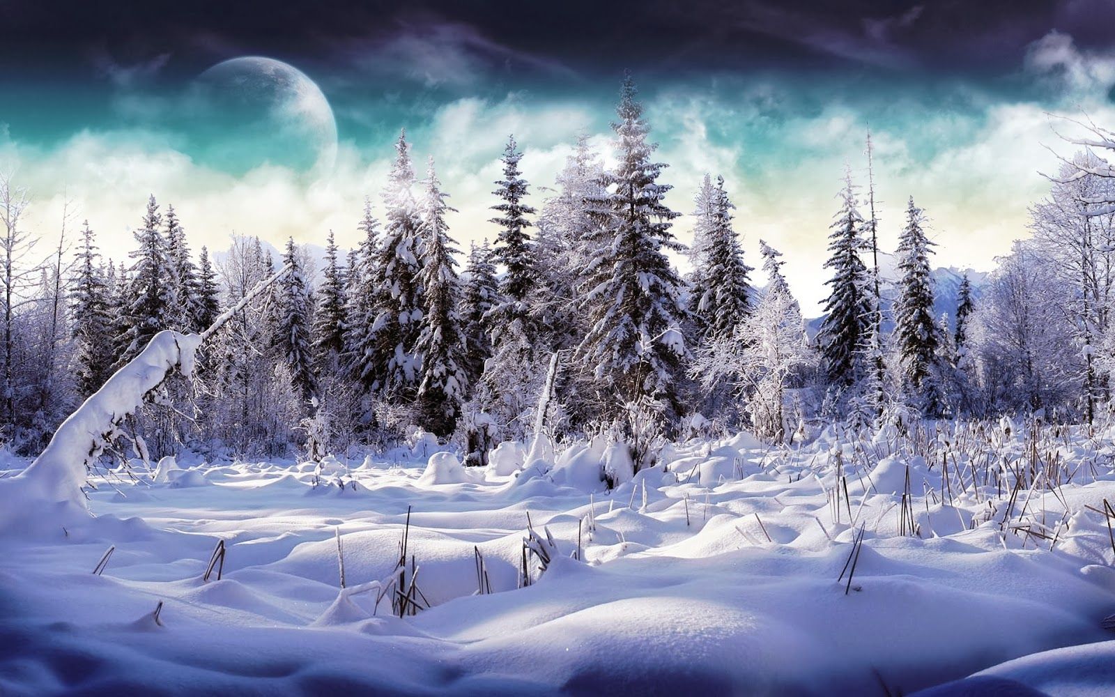 Winter HD Background Wallpaper Wallpaper Blog. Winter scenery, Winter landscape, Winter picture
