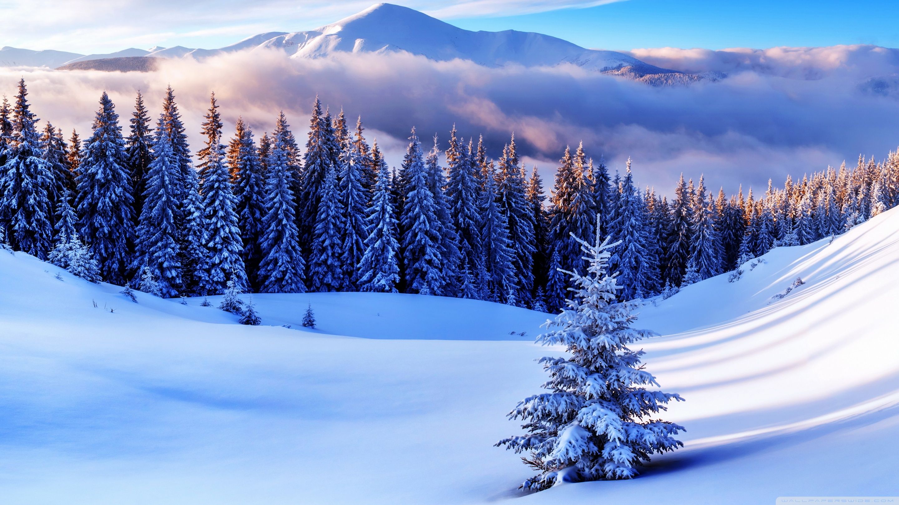 Winter Season, Mountains Ultra HD Desktop Background Wallpaper for 4K UHD TV, Widescreen & UltraWide Desktop & Laptop, Multi Display, Dual Monitor, Tablet