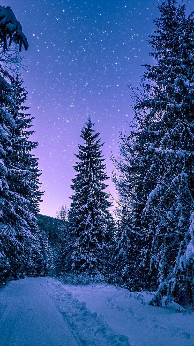 Free download Winter Aesthetic Wallpapers on 750x1333 for your Desktop  Mobile  Tablet  Explore 17 Winter White Aesthetic Wallpapers  Aesthetic  Wallpaper White Aesthetic Wallpapers Aesthetic Wallpapers